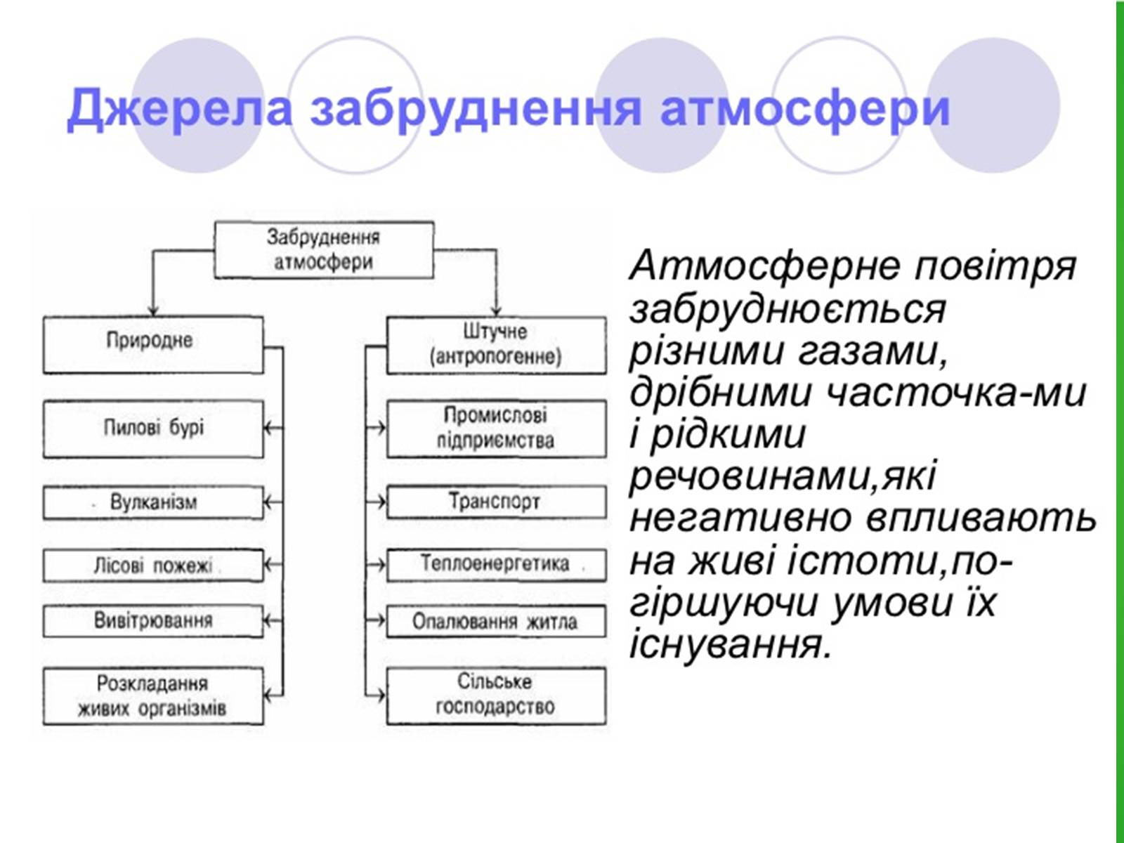 Презентація на тему «Забруднення навколишнього середовища.Види забруднень» - Слайд #13