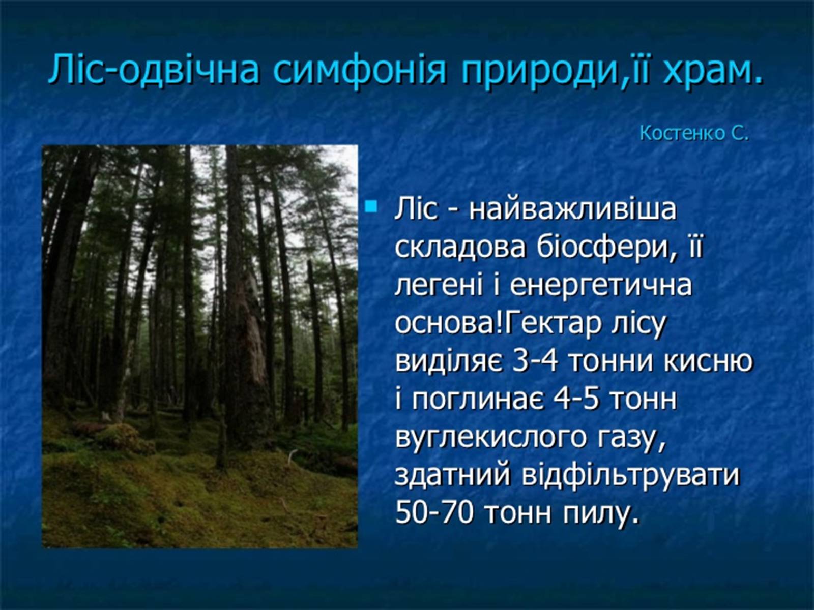 Презентація на тему «Забруднення навколишнього середовища.Види забруднень» - Слайд #16