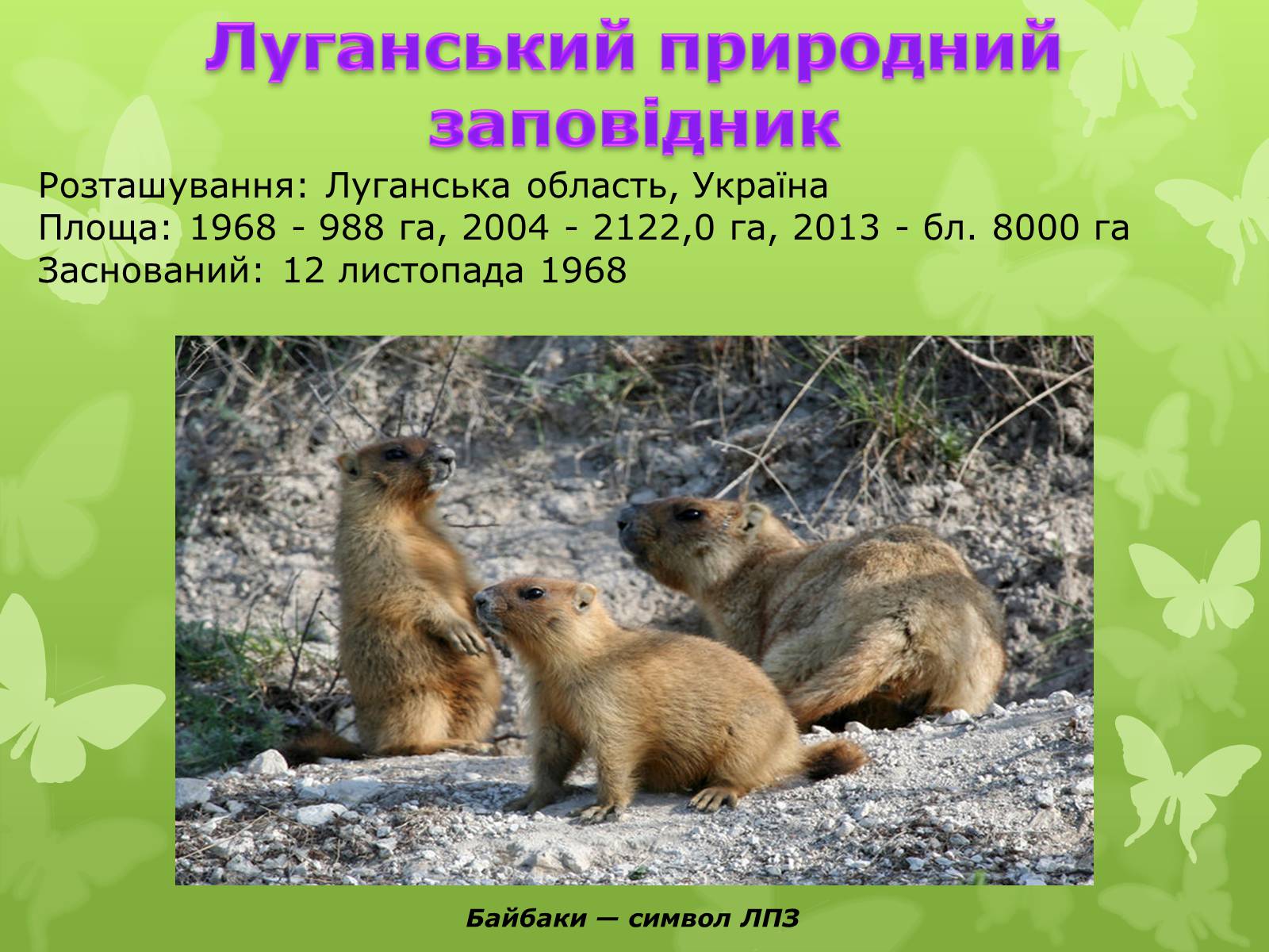 Презентація на тему «Природні заповідники України» (варіант 4) - Слайд #12