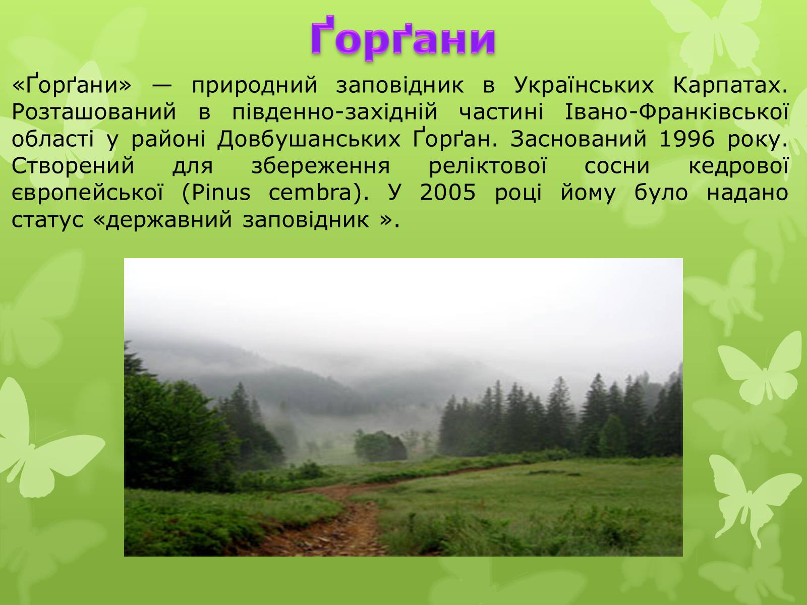 Презентація на тему «Природні заповідники України» (варіант 4) - Слайд #4