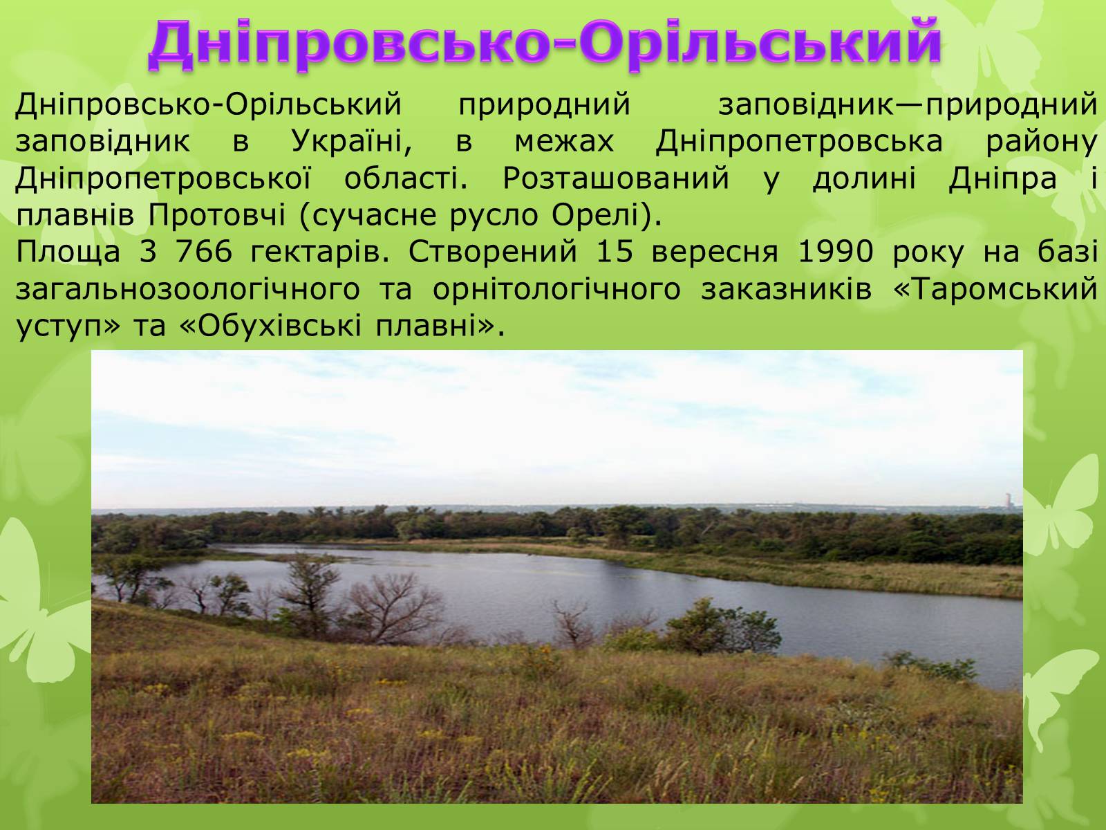 Презентація на тему «Природні заповідники України» (варіант 4) - Слайд #5