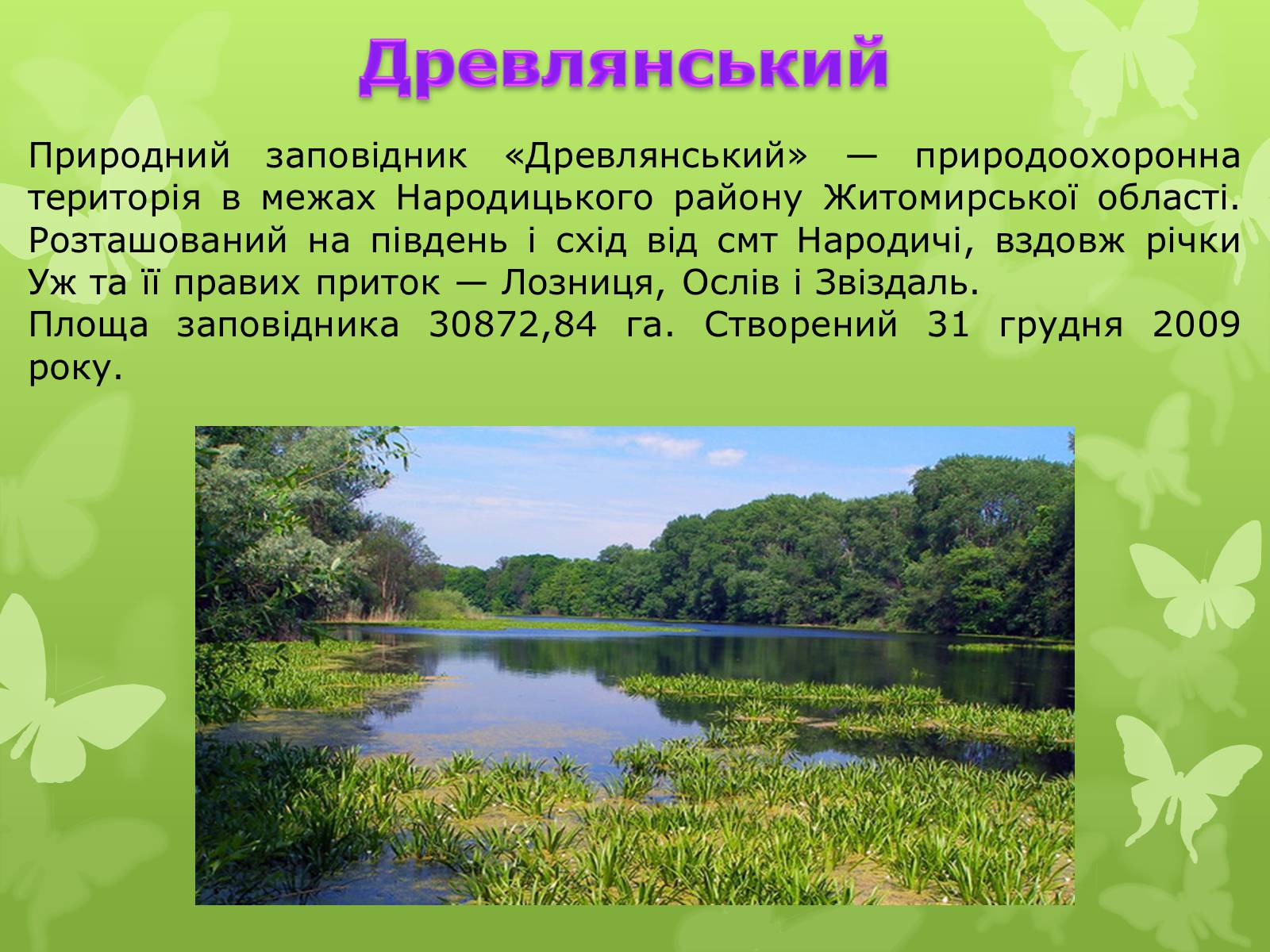Презентація на тему «Природні заповідники України» (варіант 4) - Слайд #6