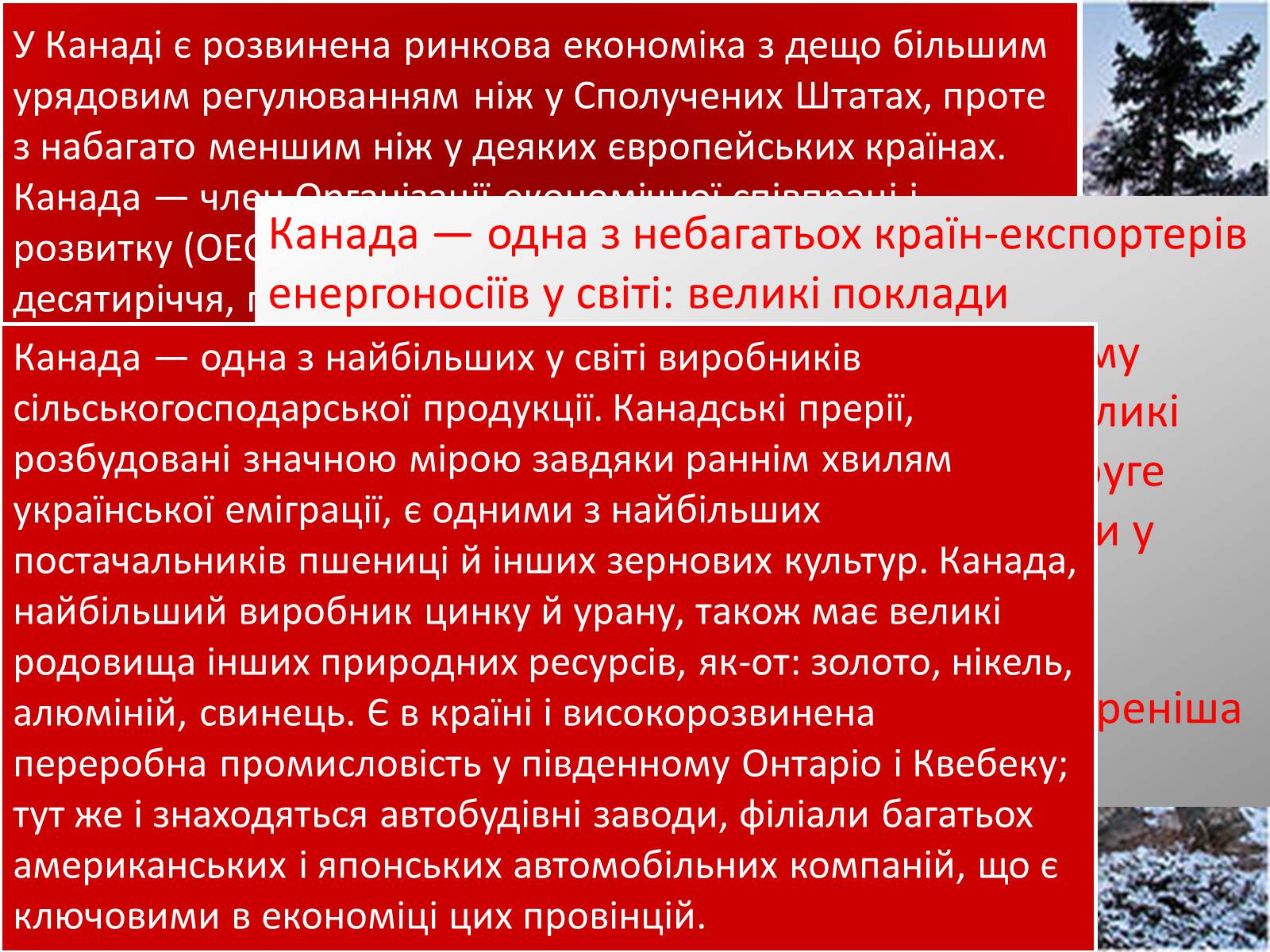 Презентація на тему «Країни ВЕЛИКОЇ СІМКИ» - Слайд #23