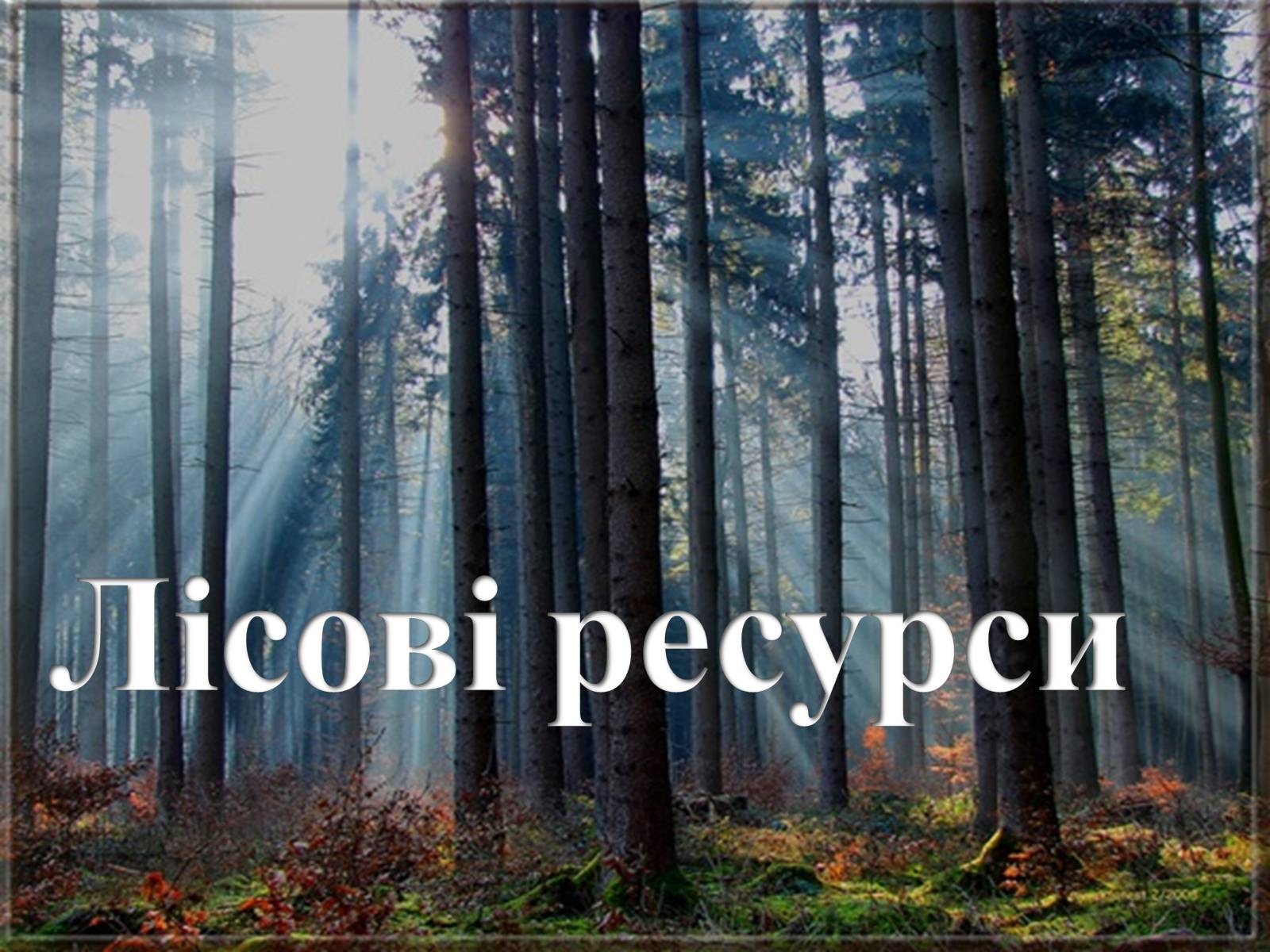 Презентація на тему «Лісові ресурси» (варіант 2) - Слайд #1