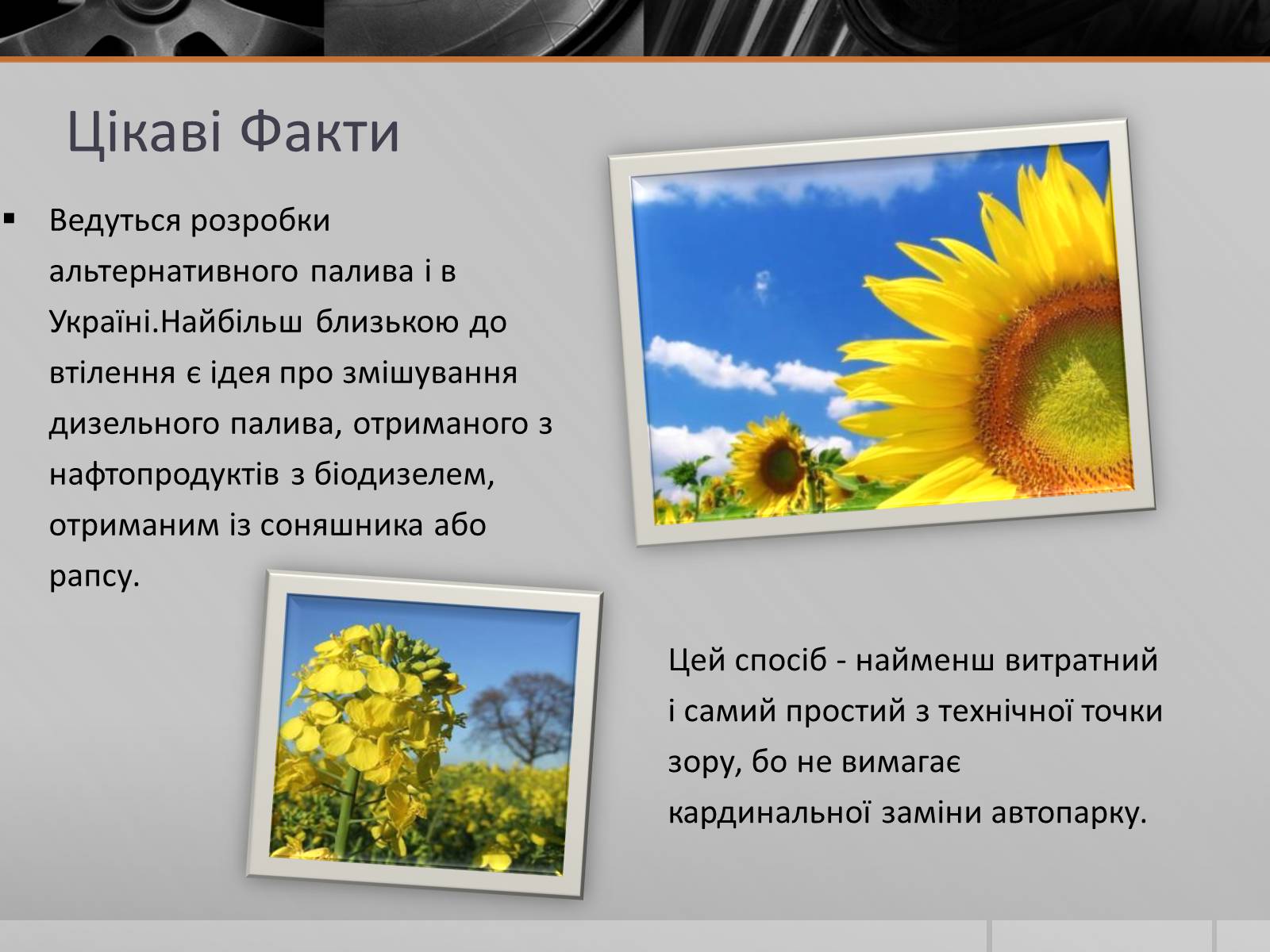 Презентація на тему «Альтернативні Види Палива» (варіант 5) - Слайд #11