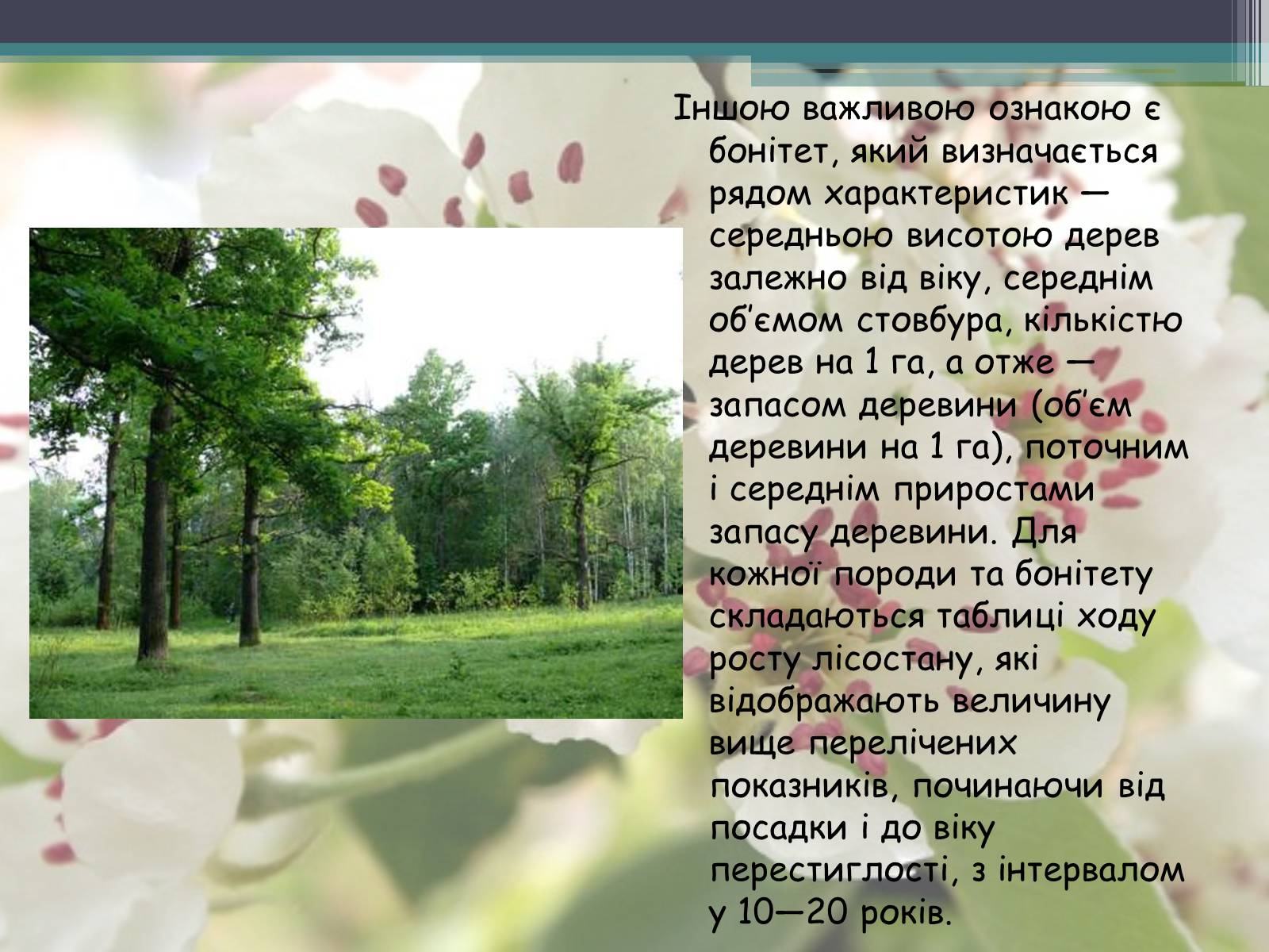 Презентація на тему «Ліси потребують допомоги» - Слайд #10