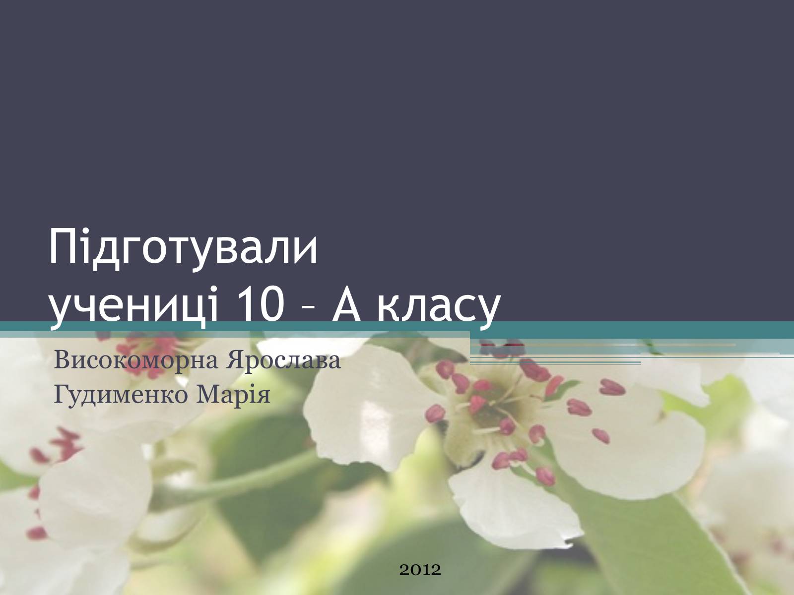 Презентація на тему «Ліси потребують допомоги» - Слайд #26