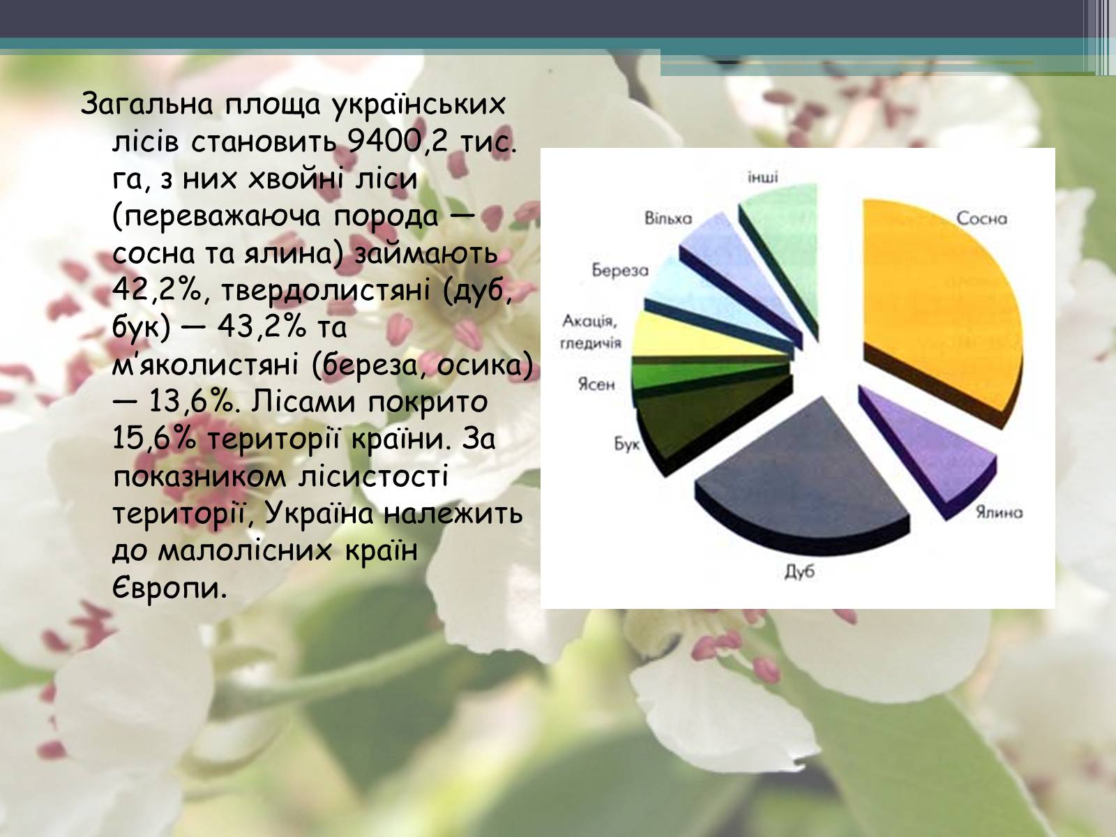 Презентація на тему «Ліси потребують допомоги» - Слайд #4