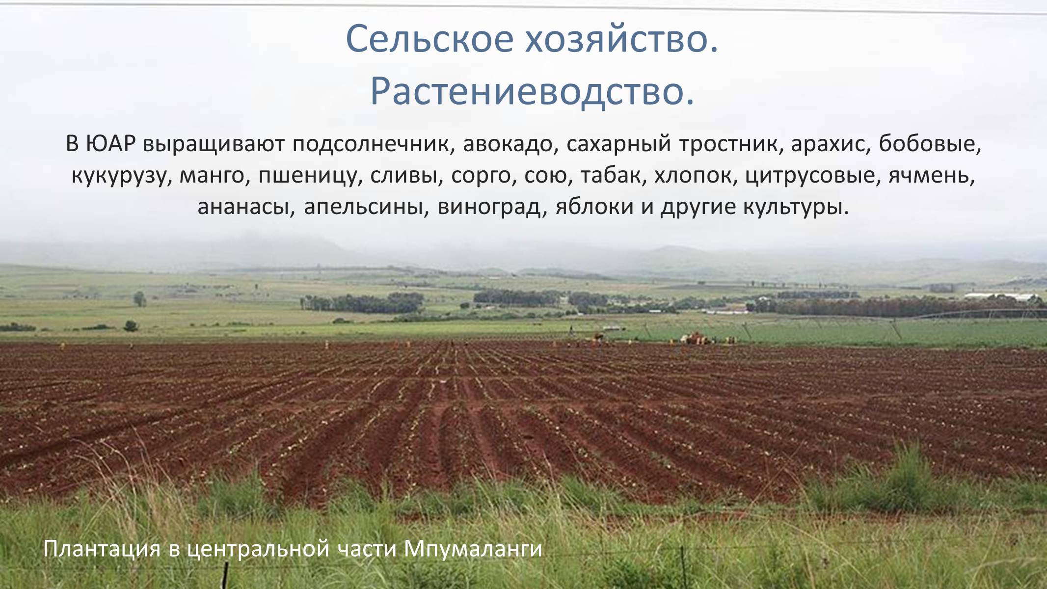 Презентація на тему «Южно-Африканская Республика» - Слайд #18