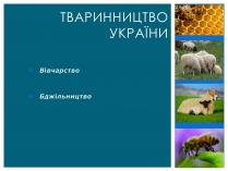 Презентація на тему «Тваринництво України»