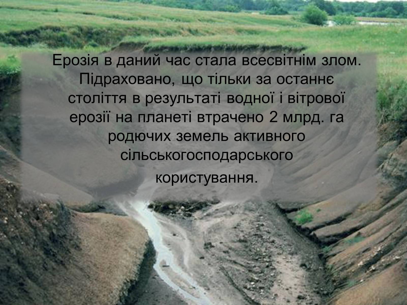 Презентація на тему «Забруднення літосфери» - Слайд #12