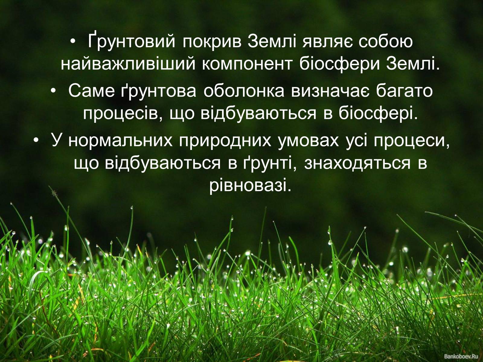 Презентація на тему «Забруднення літосфери» - Слайд #3