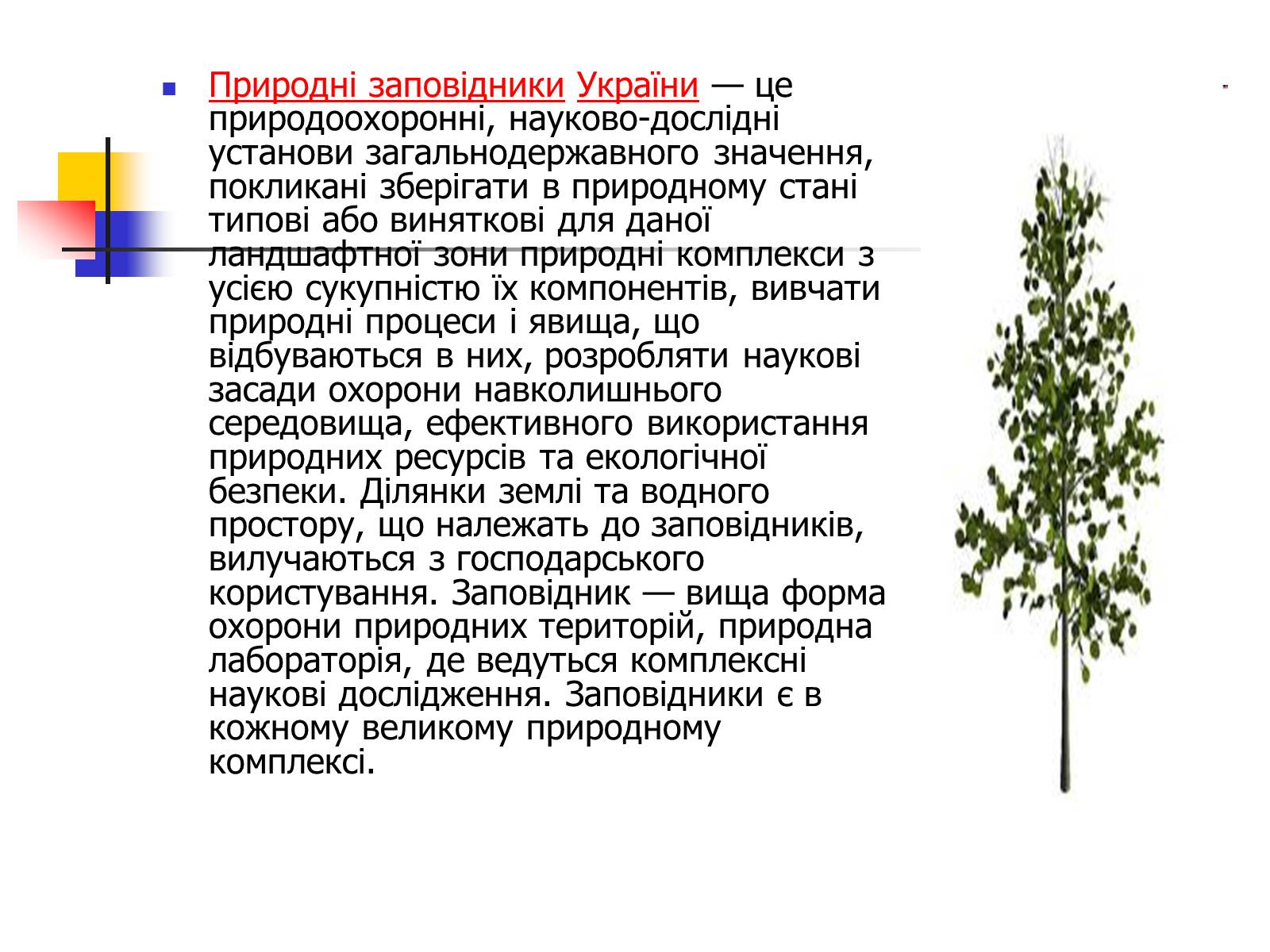Презентація на тему «Природно-заповідний фонд України» (варіант 2) - Слайд #5