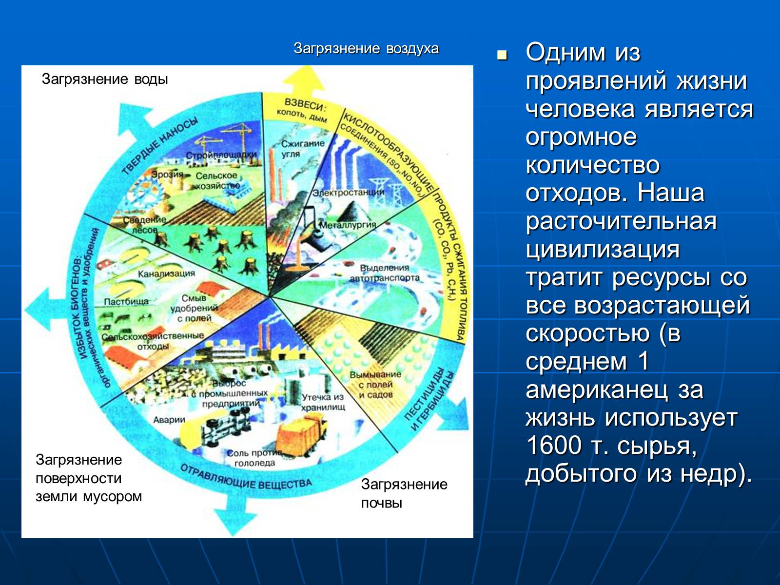 Презентація на тему «Деятельность человечества и глобальные экологические проблемы» - Слайд #31