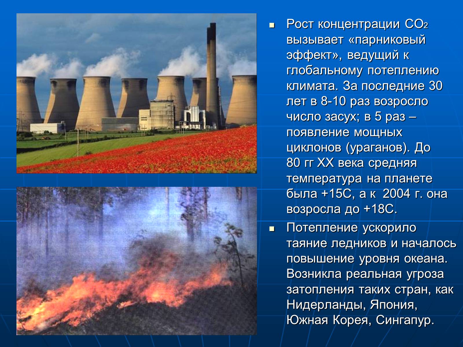 Презентація на тему «Деятельность человечества и глобальные экологические проблемы» - Слайд #43