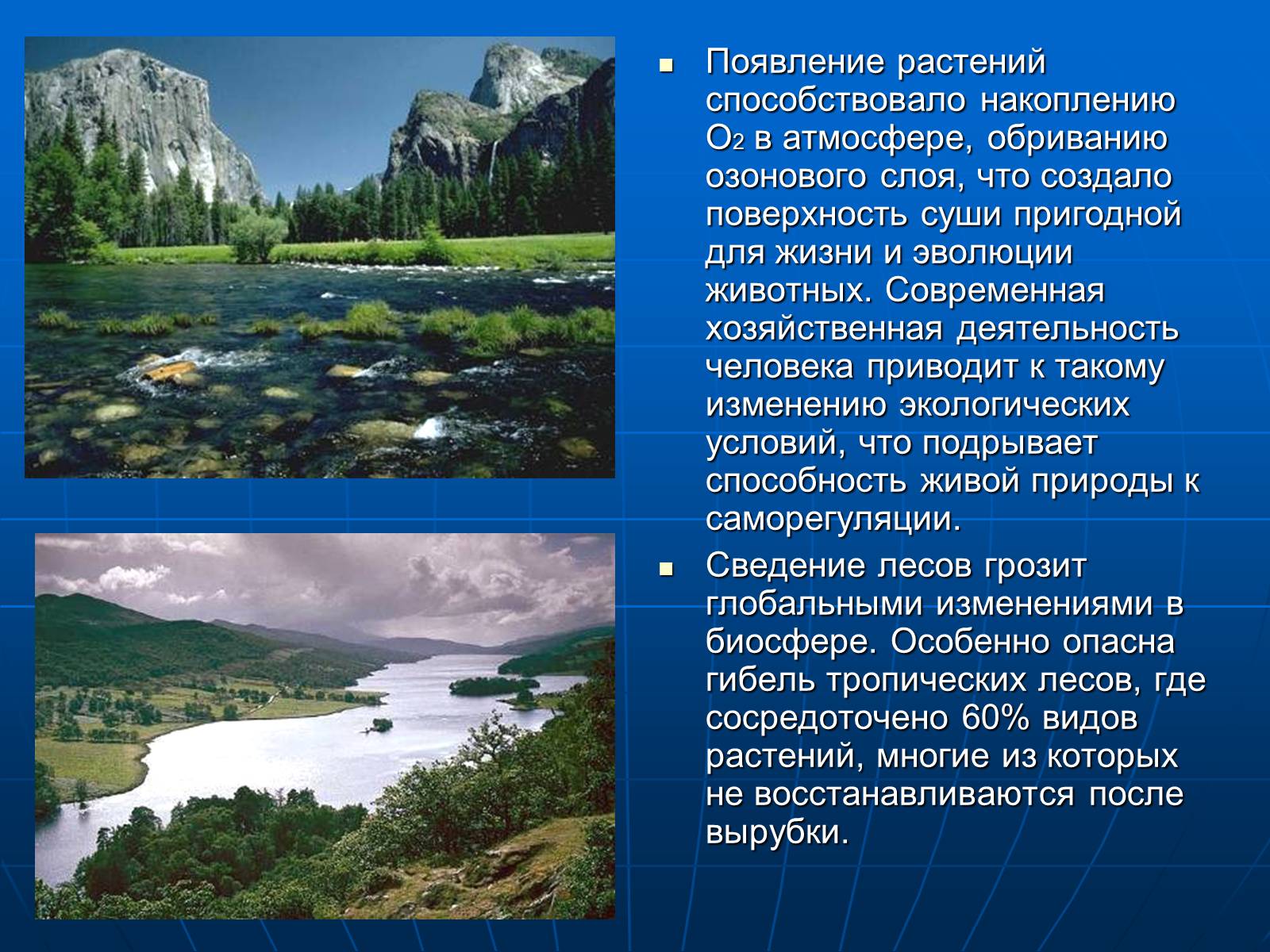 Презентація на тему «Деятельность человечества и глобальные экологические проблемы» - Слайд #63