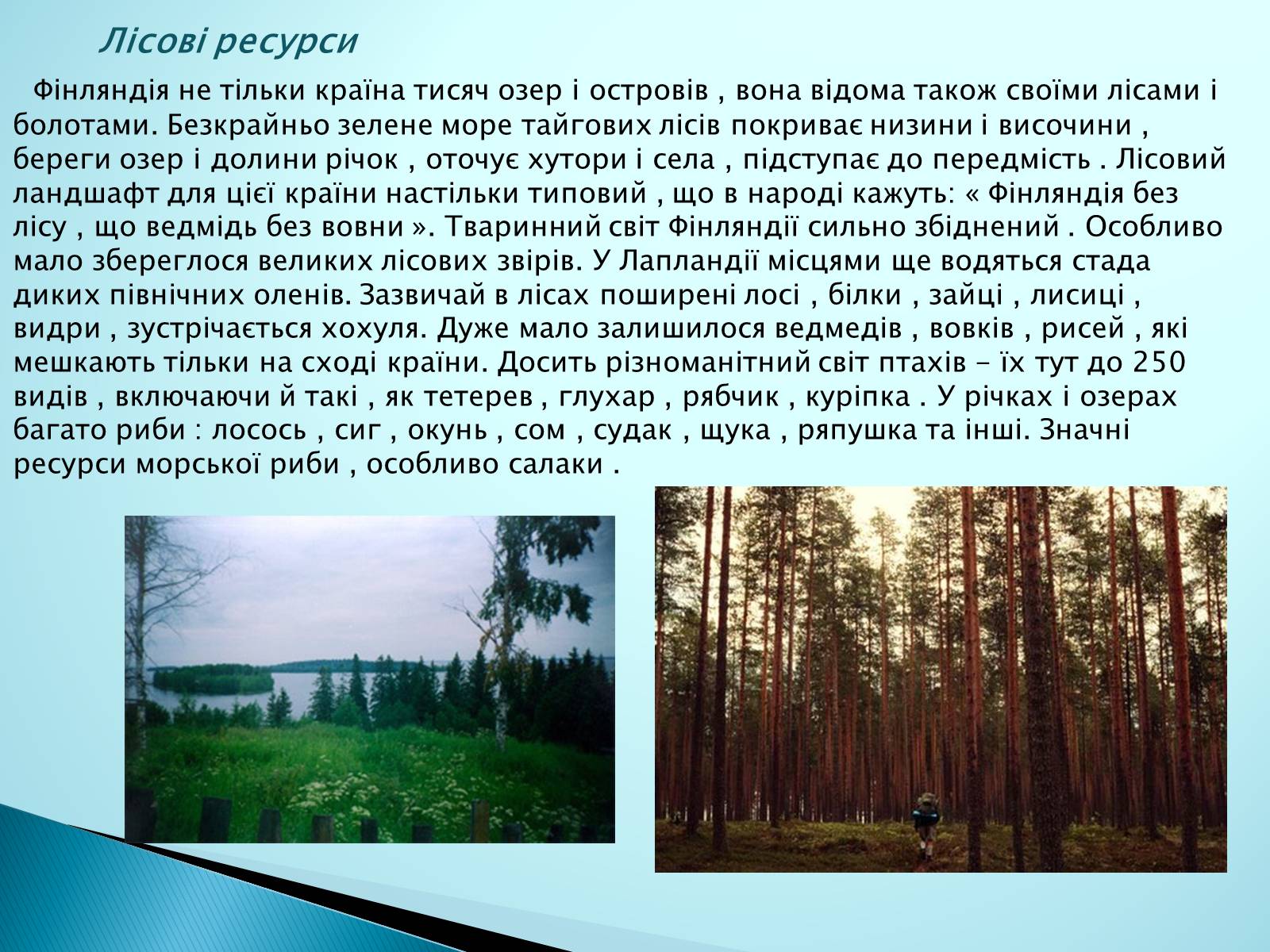 Презентація на тему «Країни Європи. Фінляндія» - Слайд #8