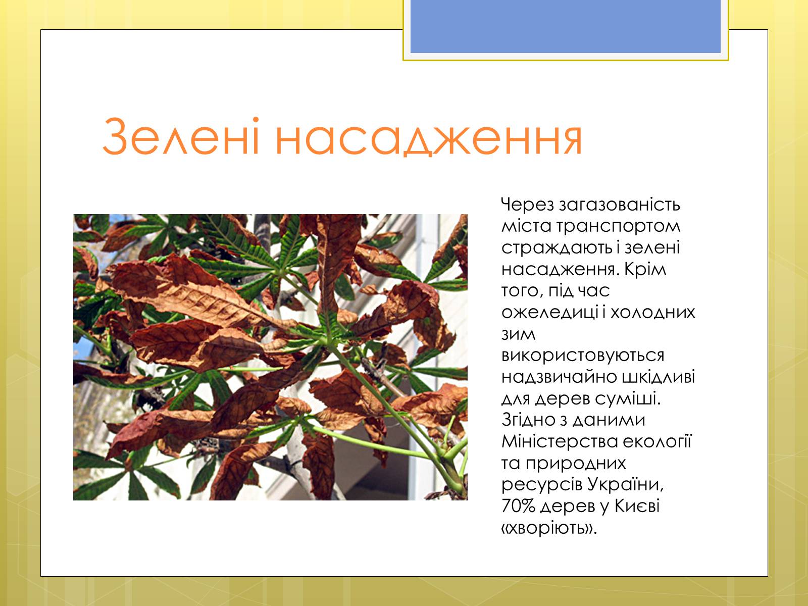 Презентація на тему «Рівень забруднення Києва та Київської області» - Слайд #7