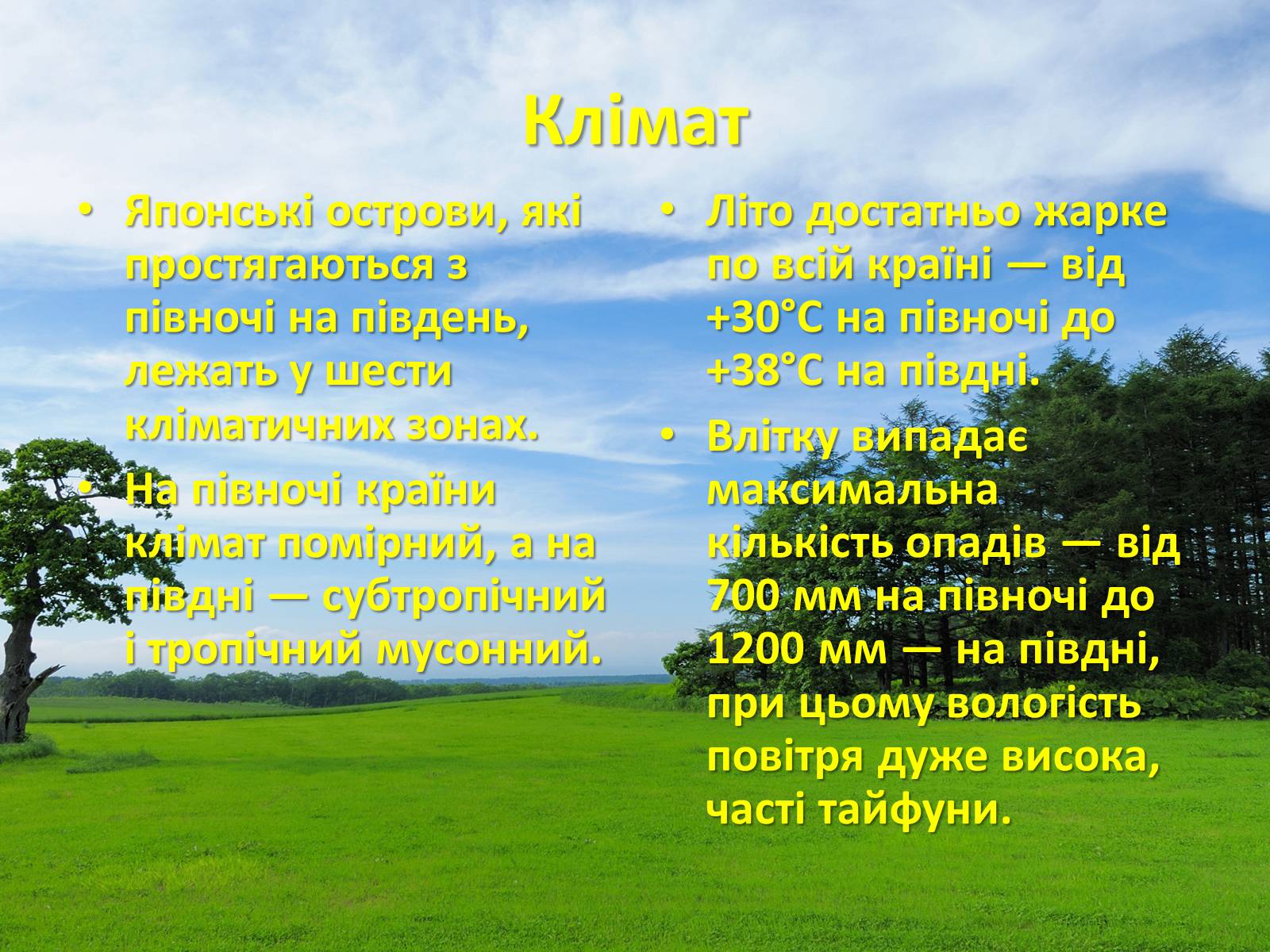 Презентація на тему «Японія» (варіант 25) - Слайд #19