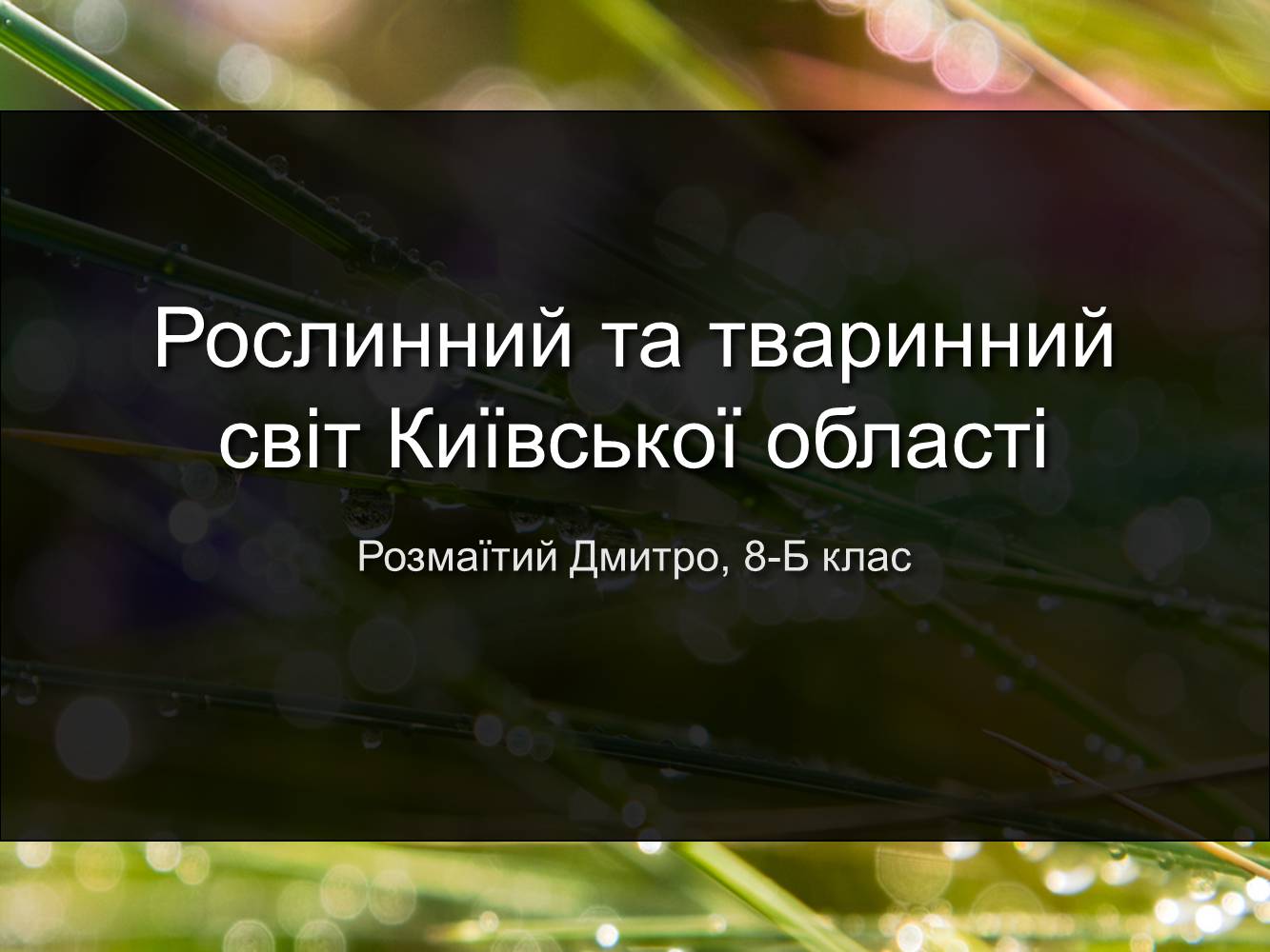 Презентація на тему «Рослинний та тваринний світ Київської області» - Слайд #1