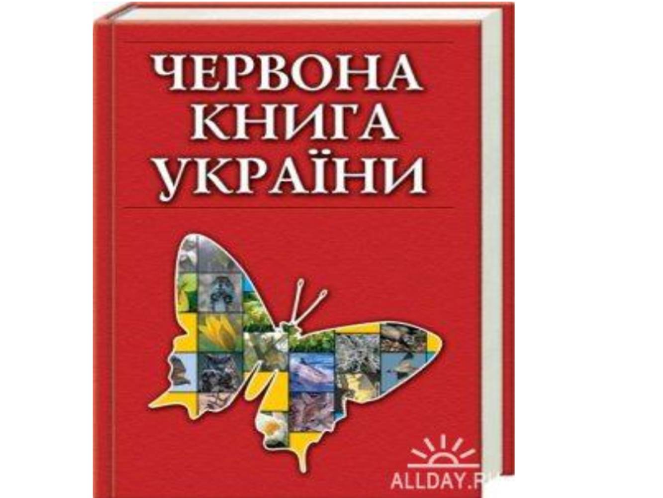 Презентація на тему «Рослинний та тваринний світ Київської області» - Слайд #12