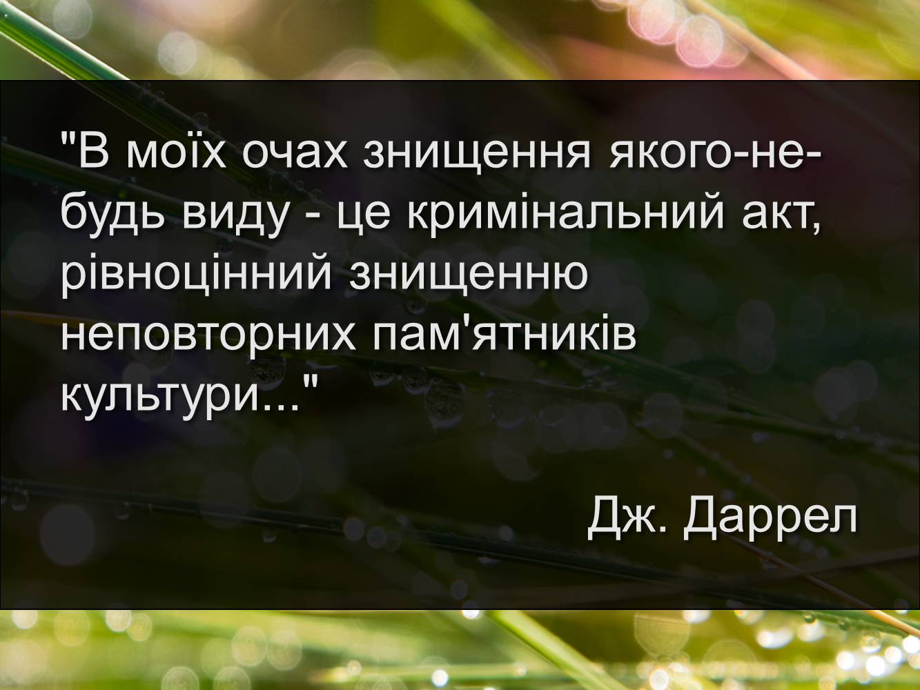 Презентація на тему «Рослинний та тваринний світ Київської області» - Слайд #14