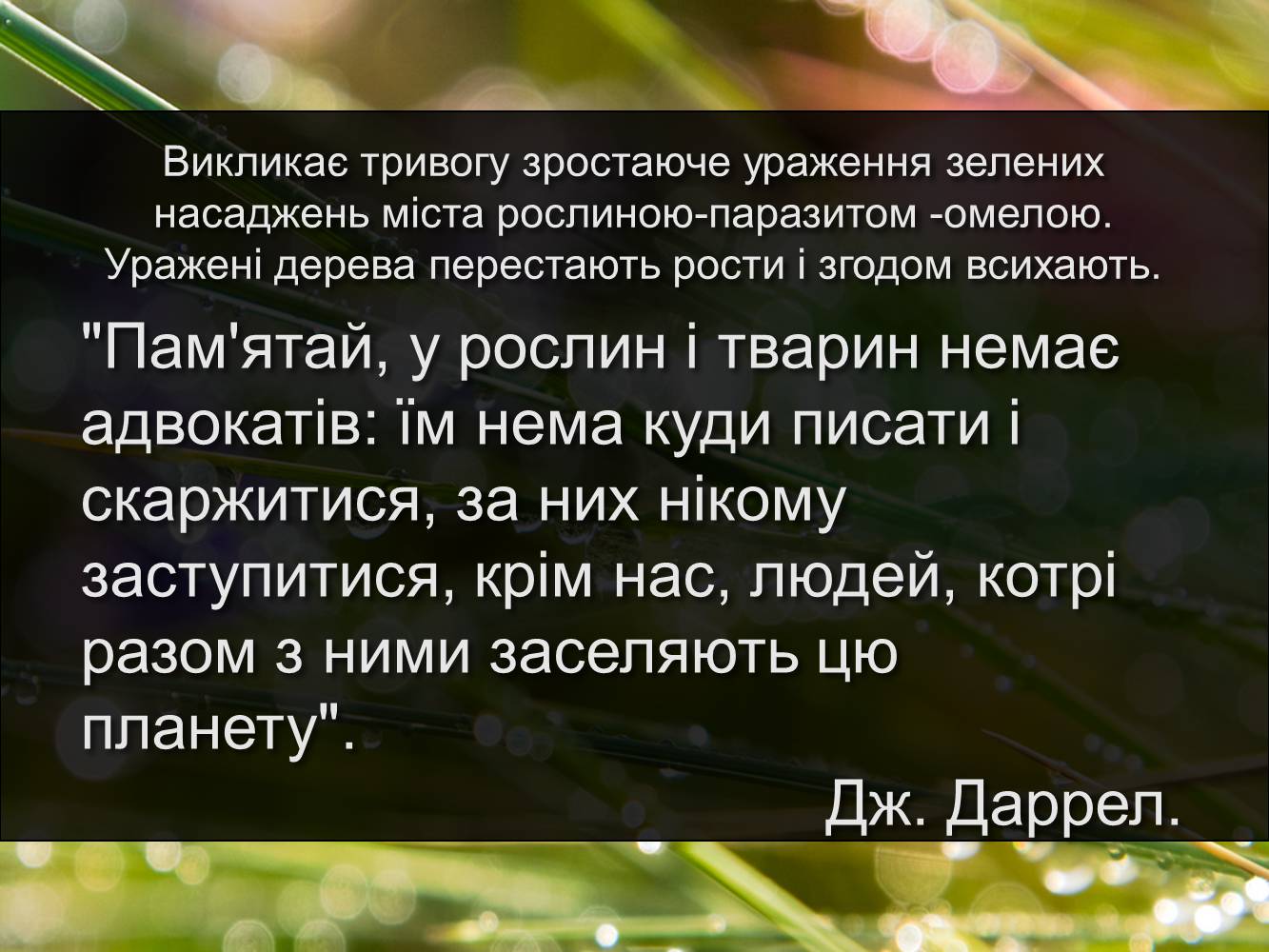 Презентація на тему «Рослинний та тваринний світ Київської області» - Слайд #16