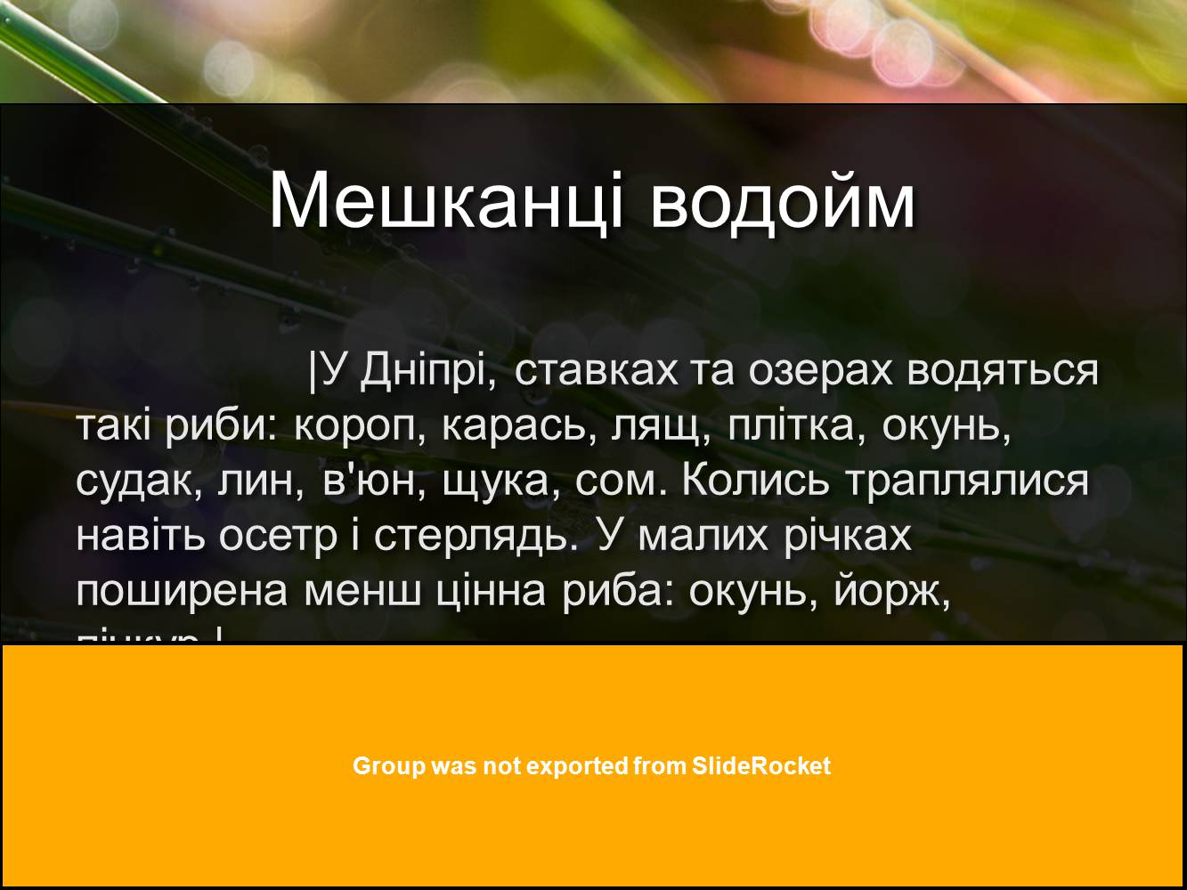 Презентація на тему «Рослинний та тваринний світ Київської області» - Слайд #4