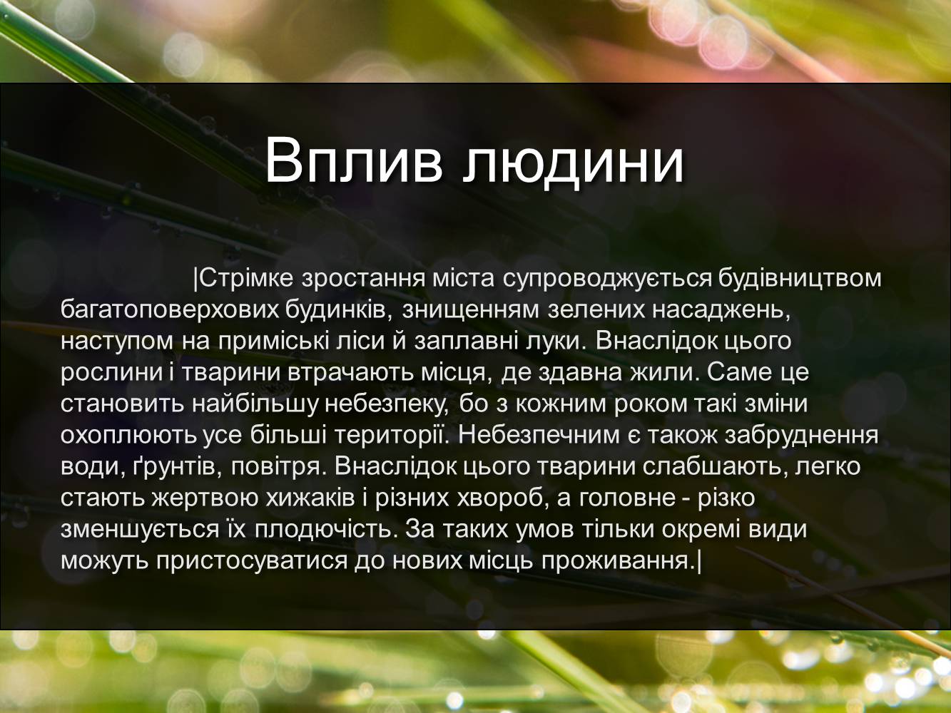 Презентація на тему «Рослинний та тваринний світ Київської області» - Слайд #9