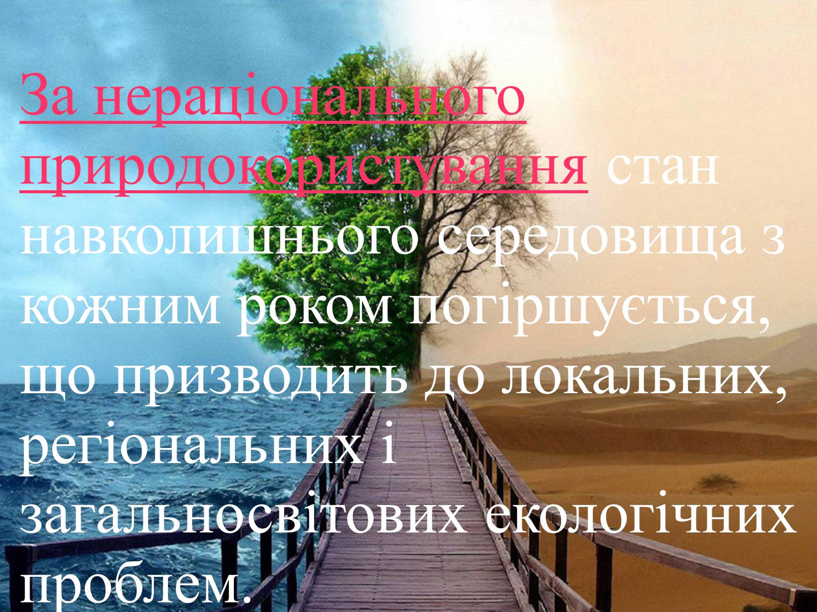 Презентація на тему «Світові природні ресурси» - Слайд #22