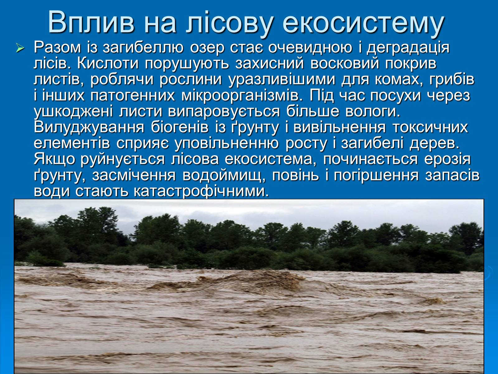 Презентація на тему «Кислотні дощі» (варіант 1) - Слайд #9