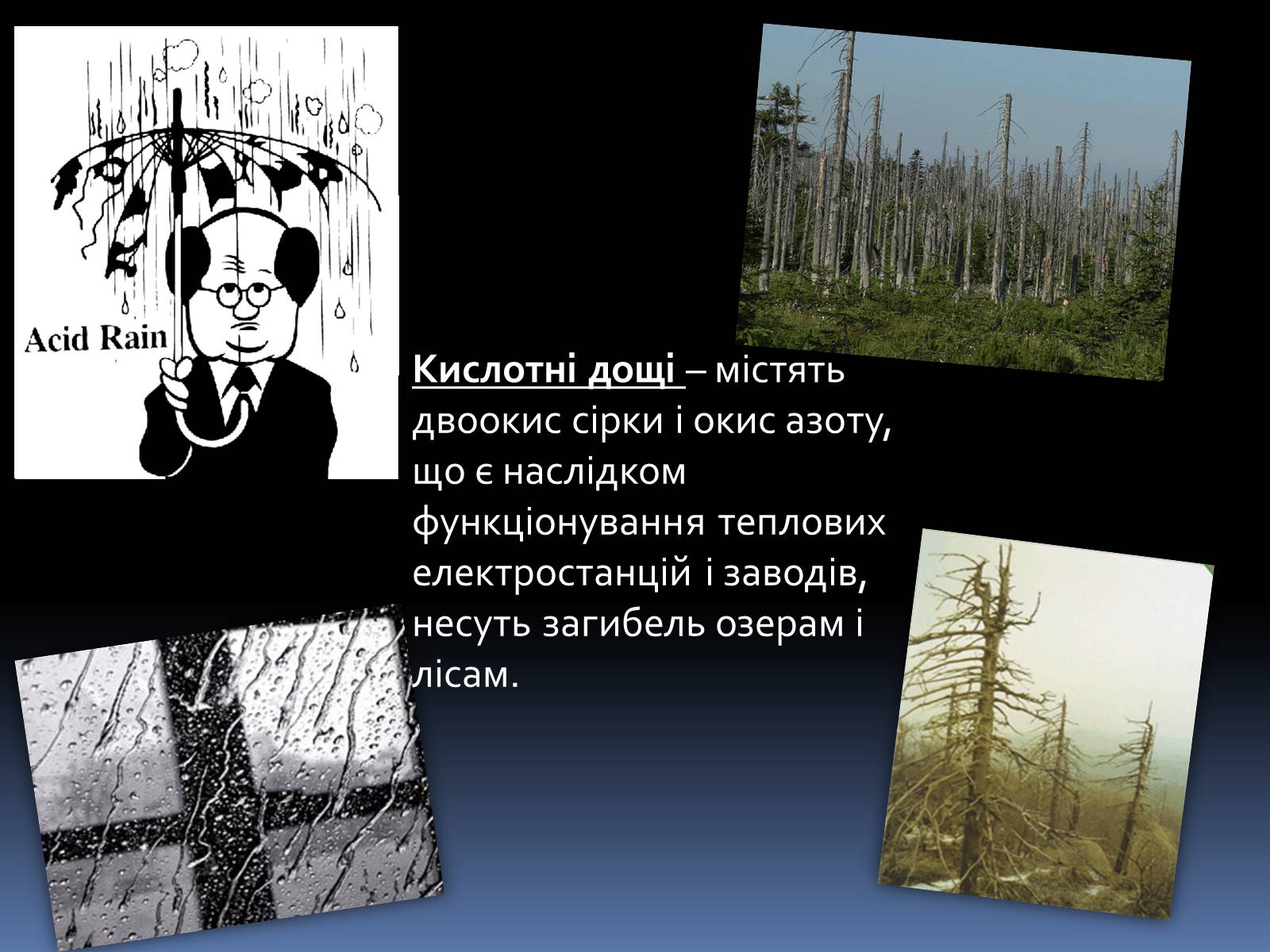 Презентація на тему «Глобальні екологічні проблеми людства» - Слайд #10