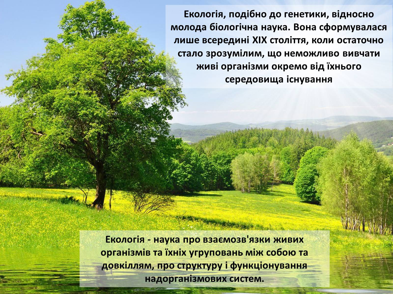 Презентація на тему «Особливості сучасної екології» - Слайд #4