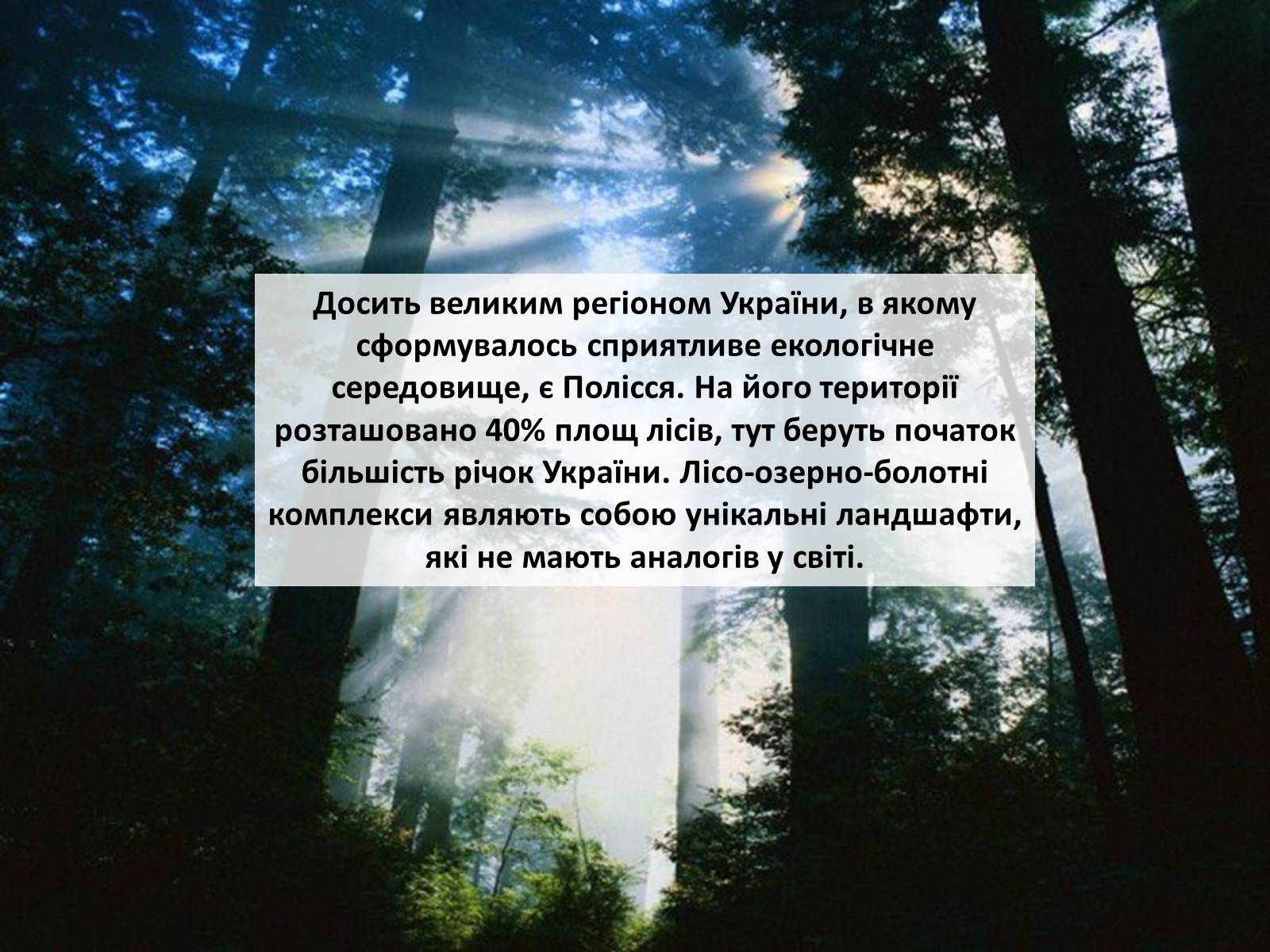 Презентація на тему «Особливості сучасної екології» - Слайд #68