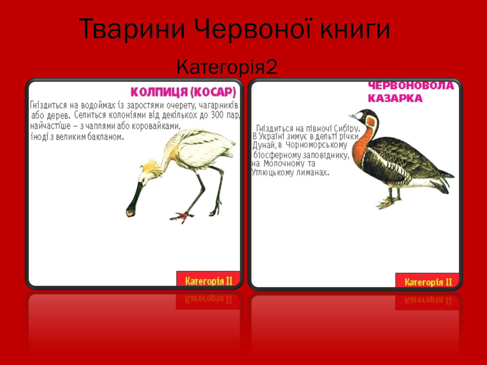 Презентація на тему «Тваринний і рослинний світ Червоної книги» - Слайд #15