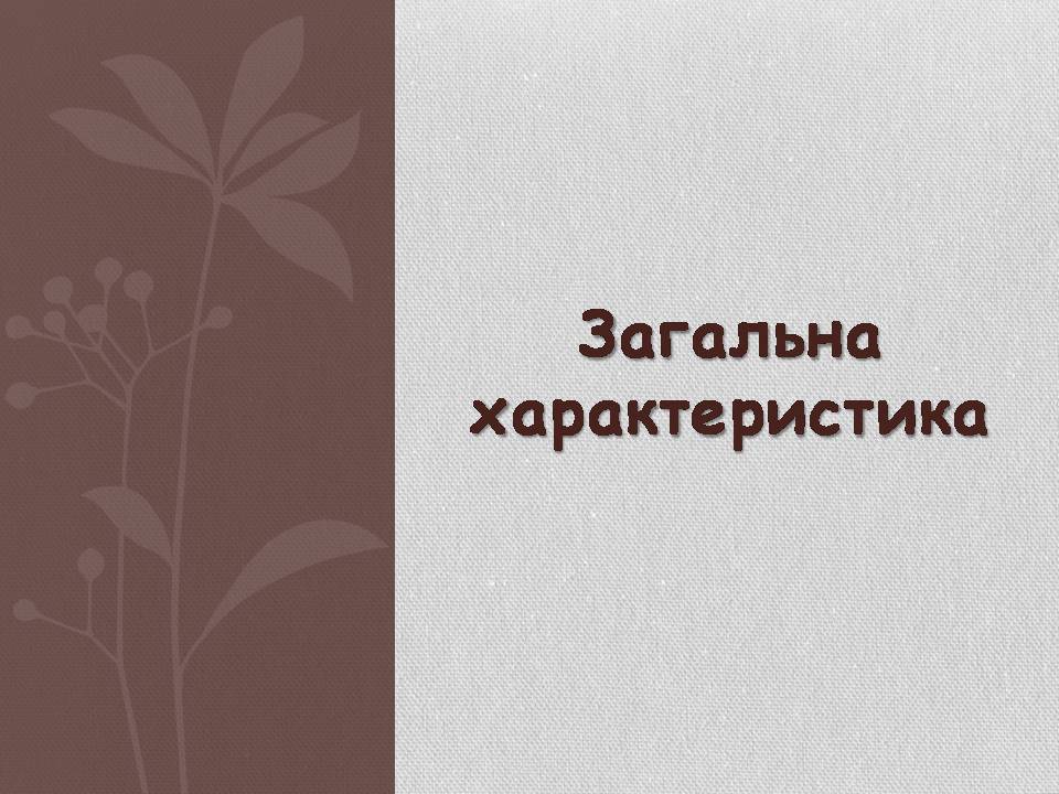 Презентація на тему «Японія» (варіант 58) - Слайд #2