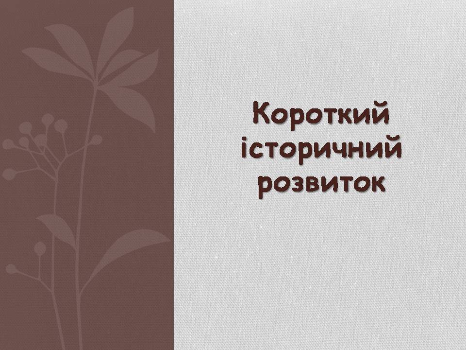 Презентація на тему «Японія» (варіант 58) - Слайд #4