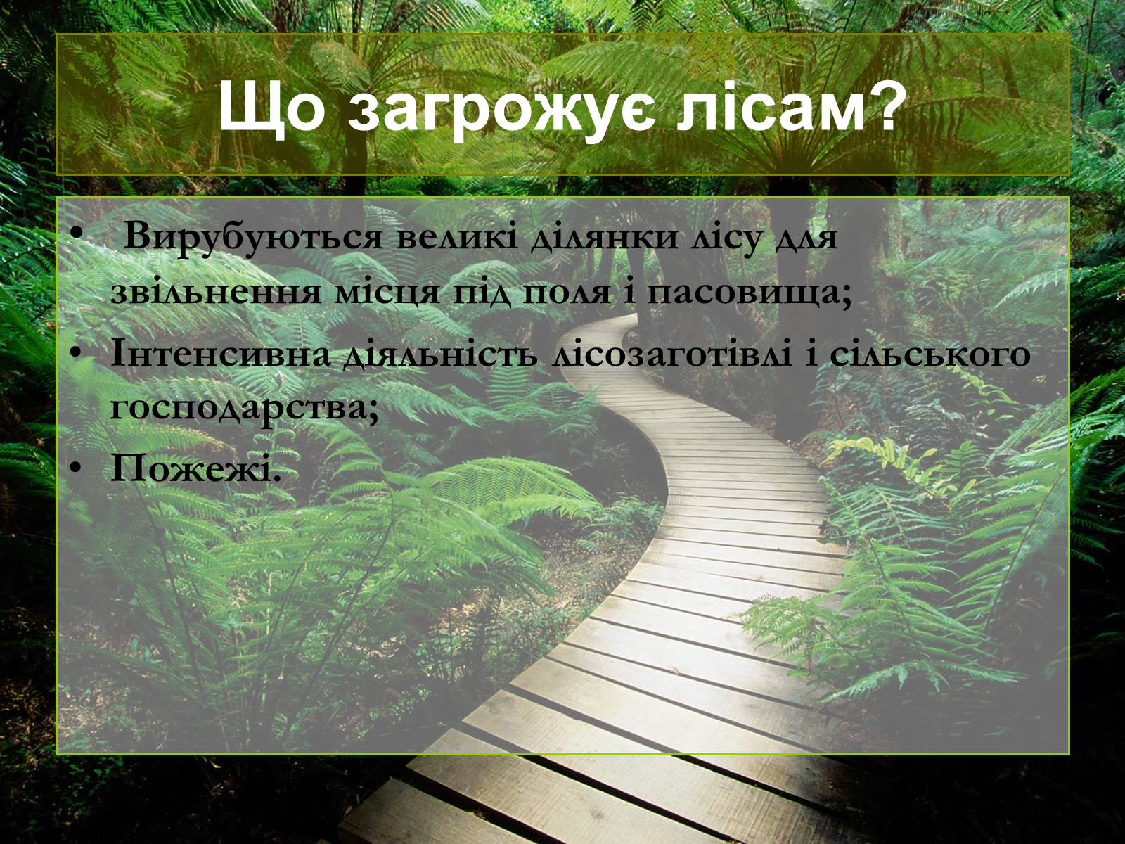 Презентація на тему «Лісові ресурси світу» - Слайд #10