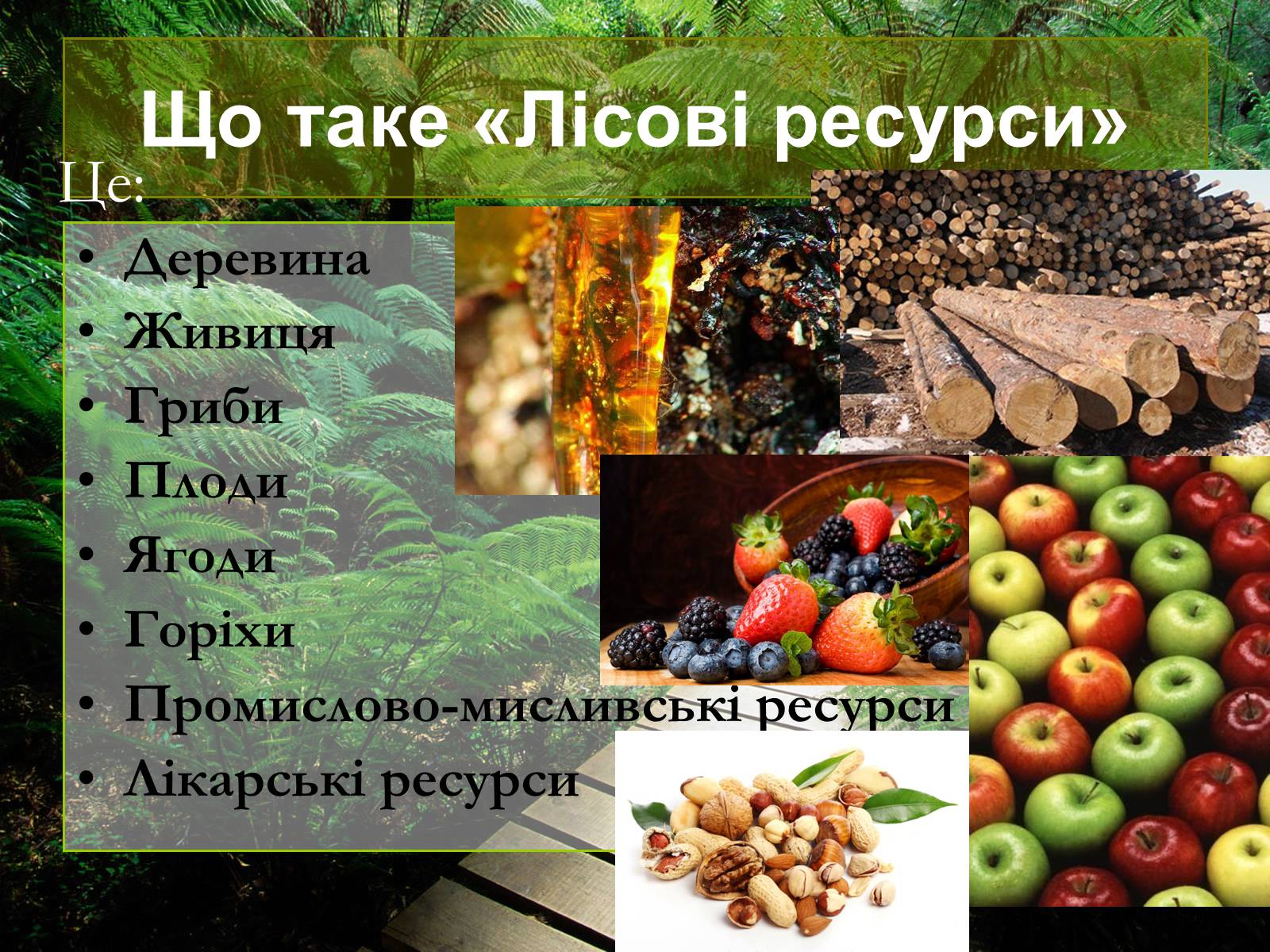 Презентація на тему «Лісові ресурси світу» - Слайд #2