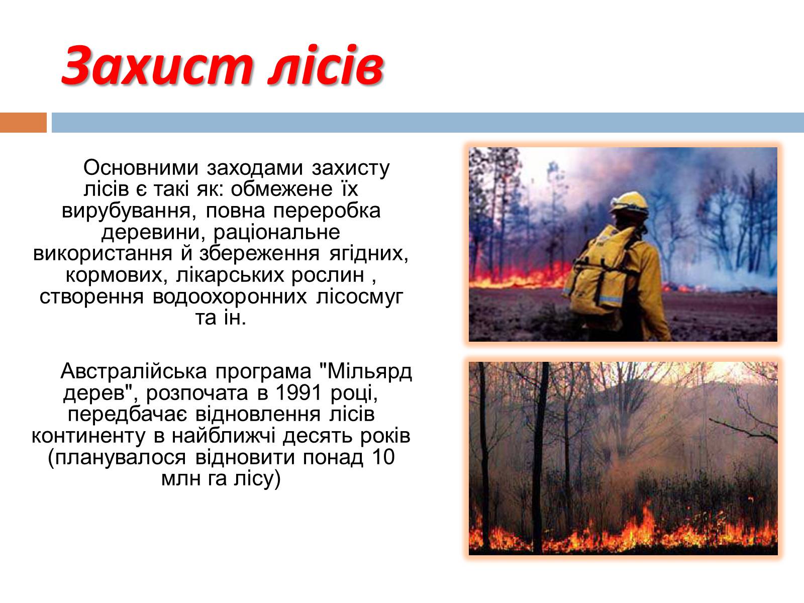 Презентація на тему «Глобальні екологічні проблеми сучасності» (варіант 1) - Слайд #11