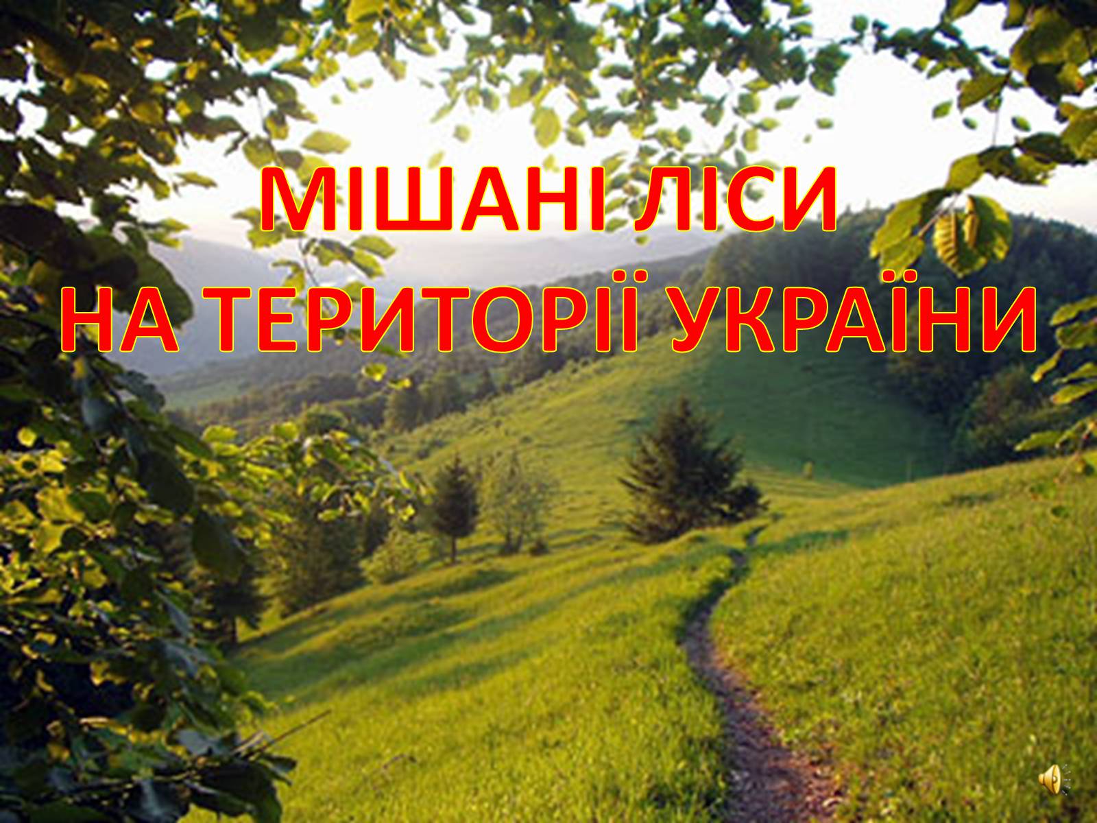 Презентація на тему «Мішані ліси» - Слайд #1