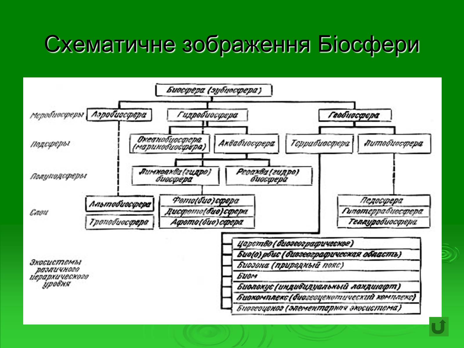 Презентація на тему «Поняття про біосферу» (варіант 1) - Слайд #23