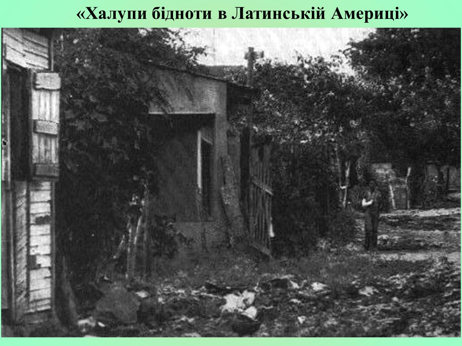 Презентація на тему «Латинська Америка» (варіант 3) - Слайд #7