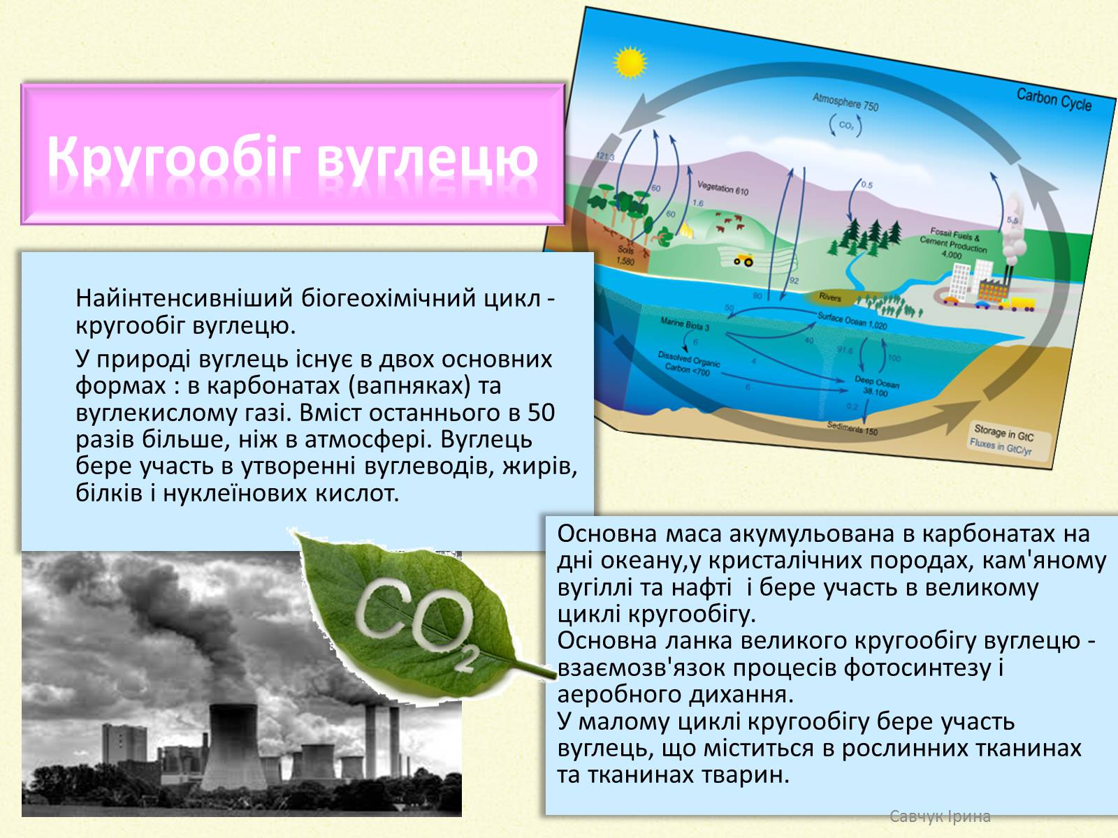 Презентація на тему «Кругообіг речовин у природі» (варіант 2) - Слайд #4