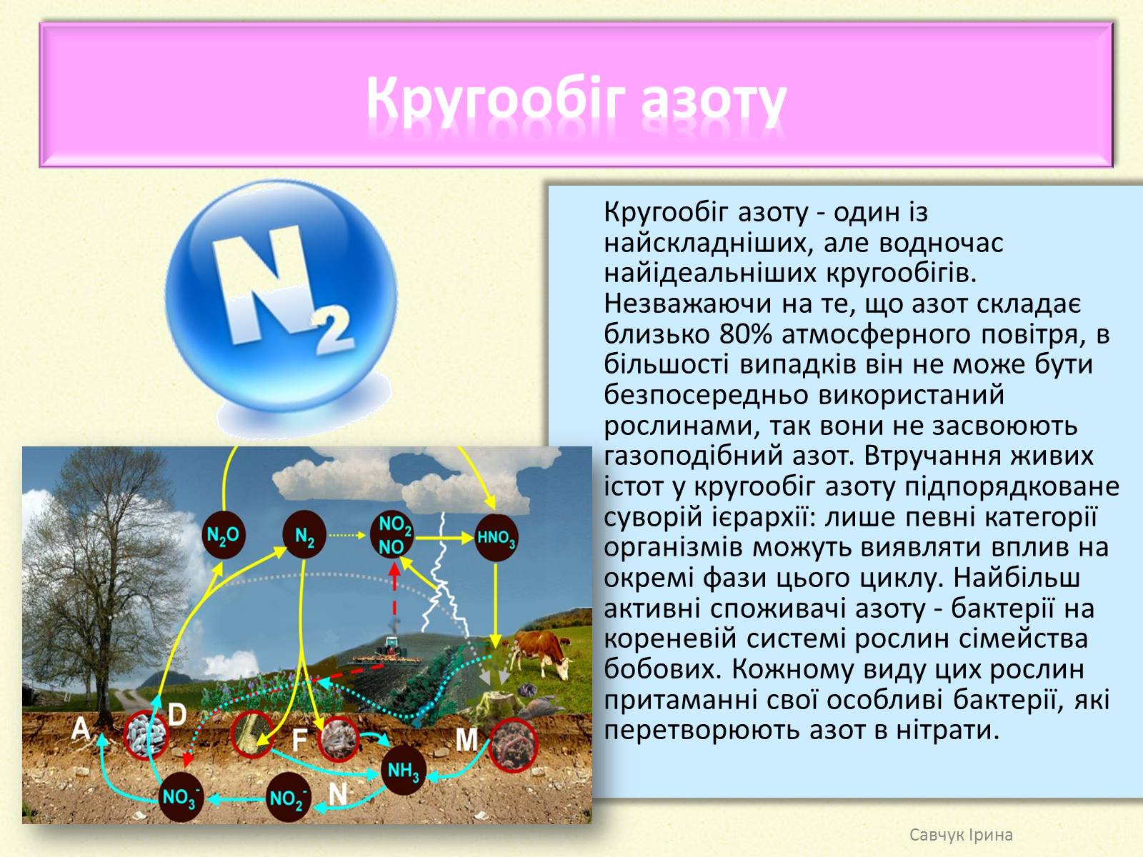 Презентація на тему «Кругообіг речовин у природі» (варіант 2) - Слайд #6