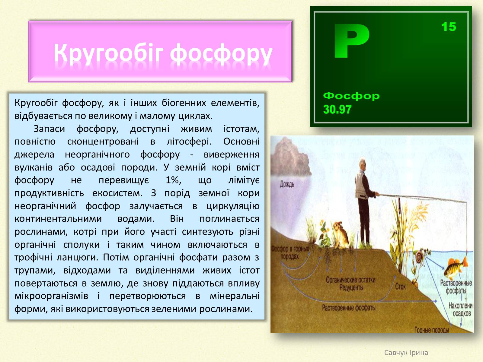 Презентація на тему «Кругообіг речовин у природі» (варіант 2) - Слайд #7