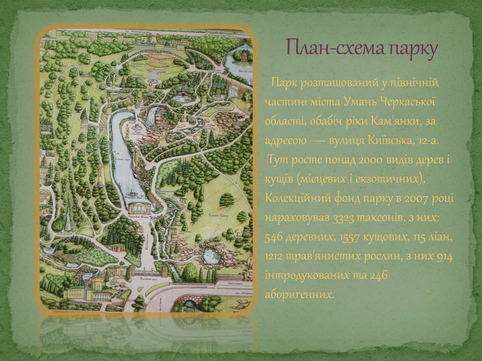 Презентація на тему «Софіївський парк» - Слайд #4