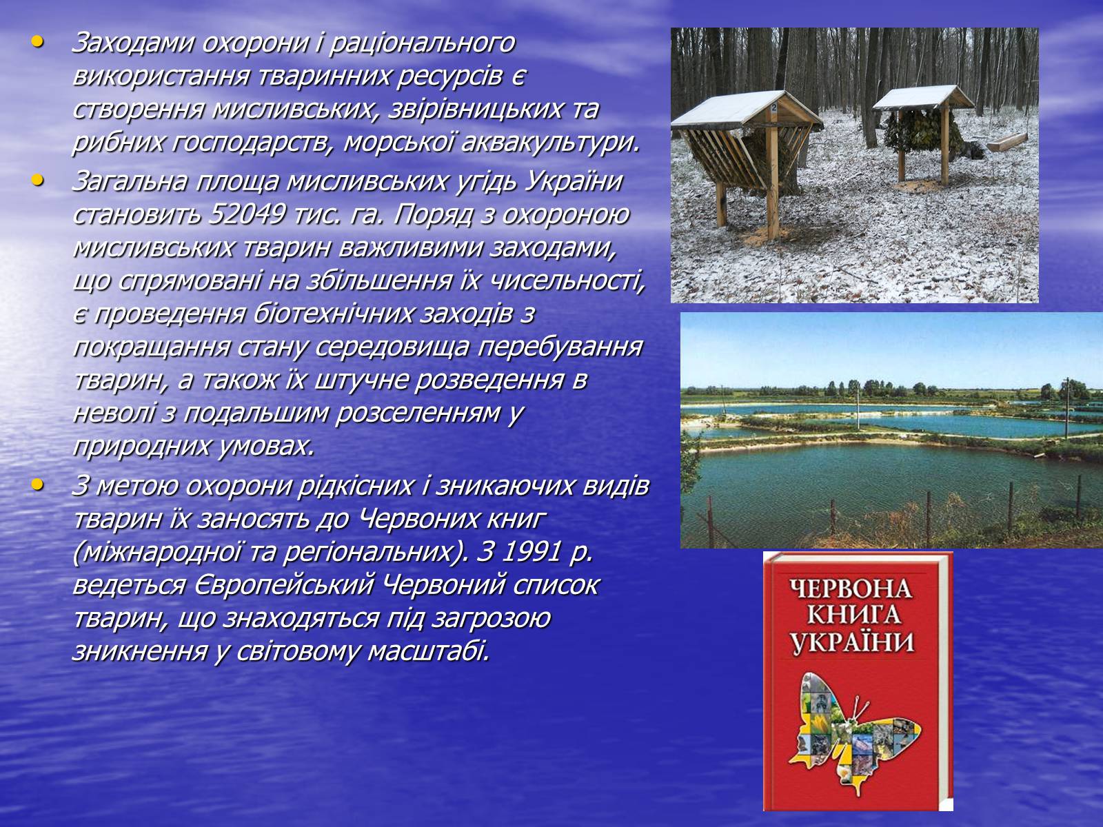 Презентація на тему «Вплив діяльності людини на природу» - Слайд #12