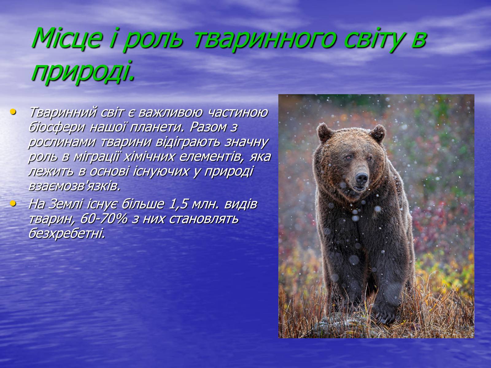 Презентація на тему «Вплив діяльності людини на природу» - Слайд #3