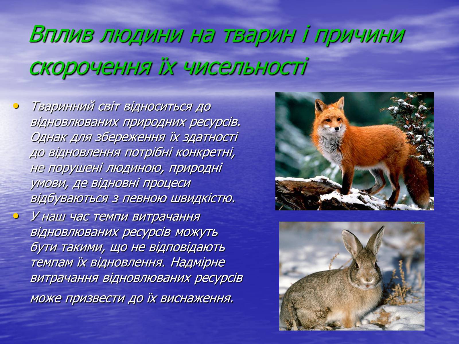 Презентація на тему «Вплив діяльності людини на природу» - Слайд #5